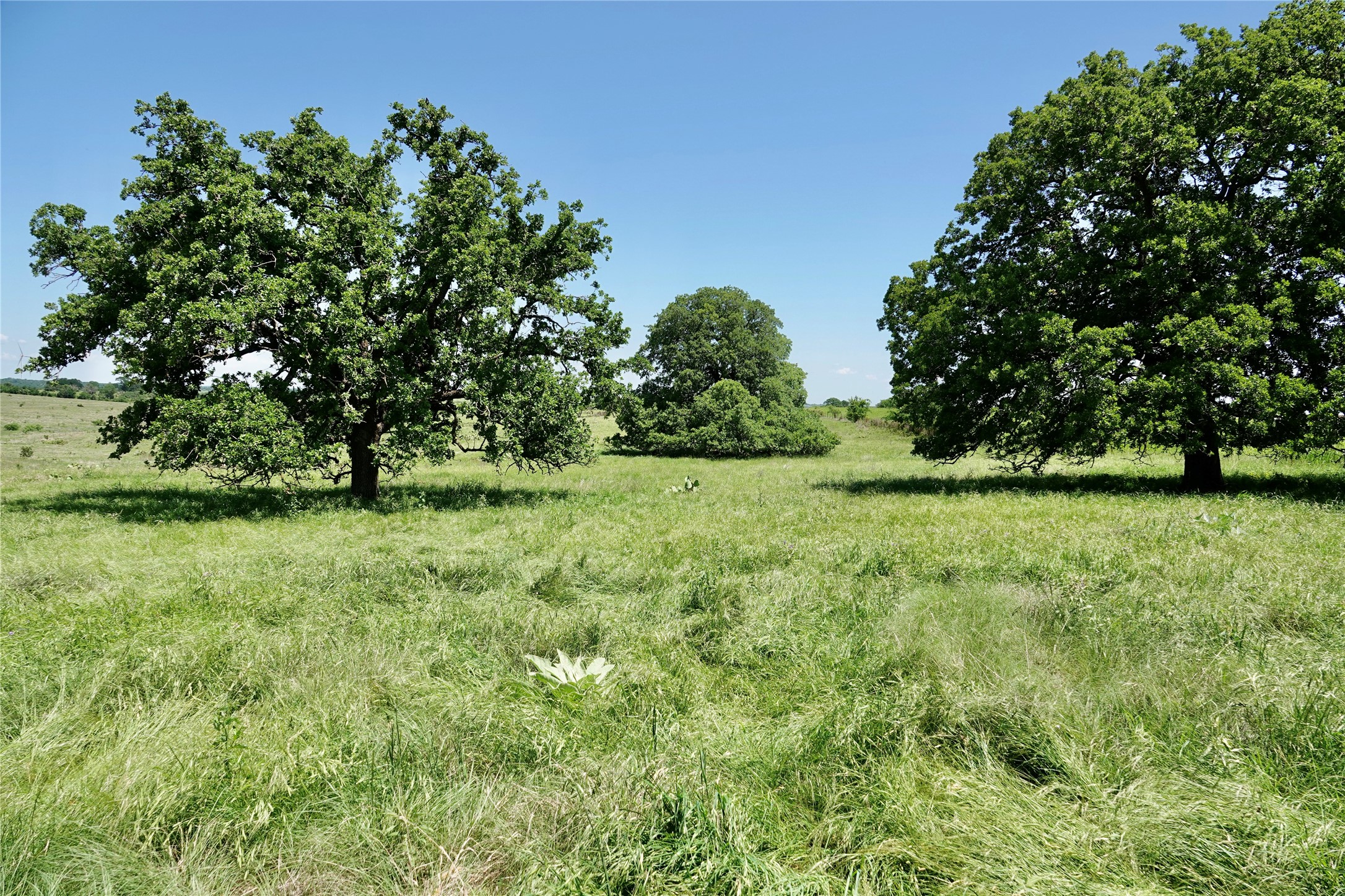 801 N Sh 16 Priddy TX 76870