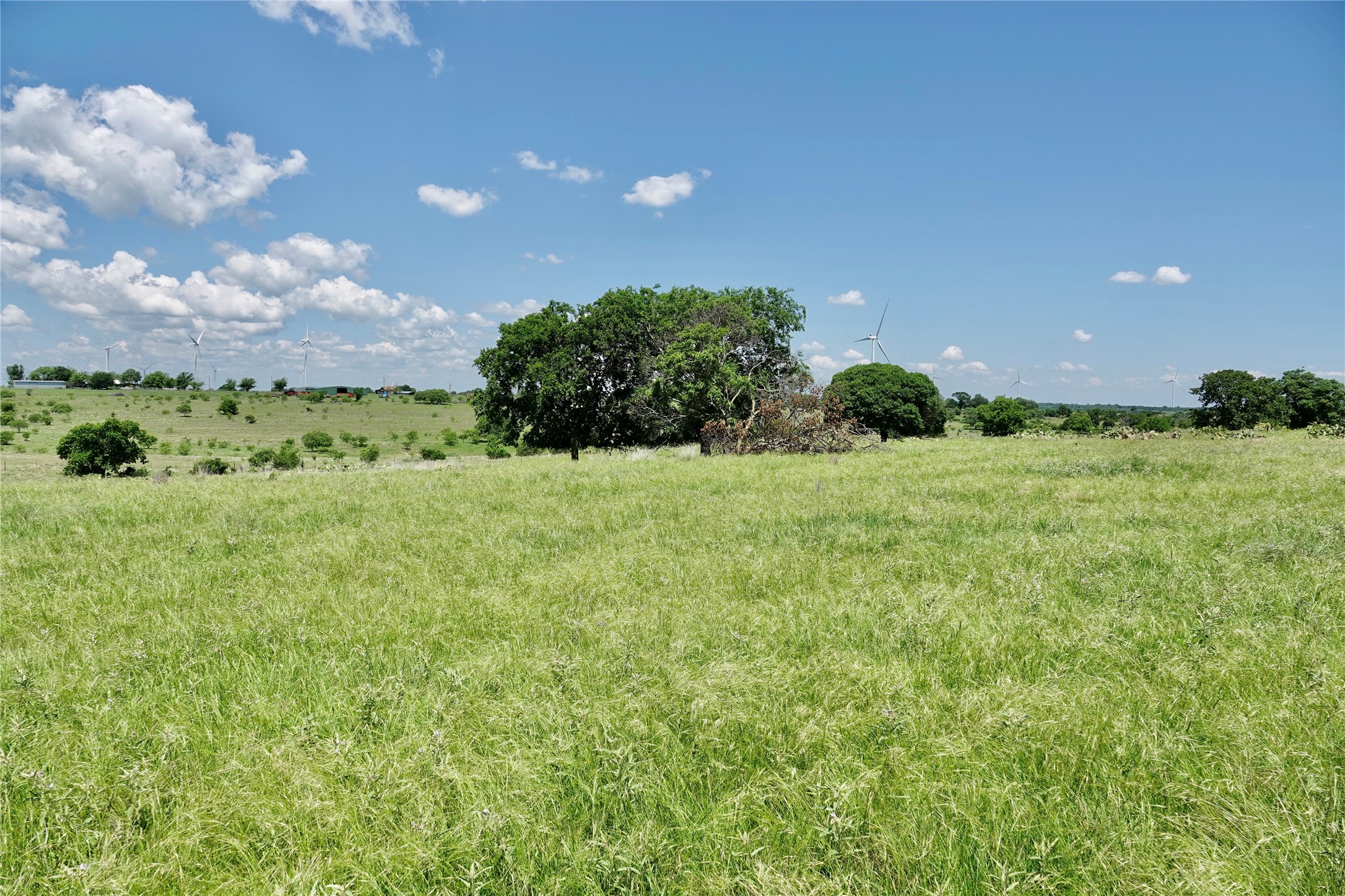 801 N Sh 16 Priddy TX 76870