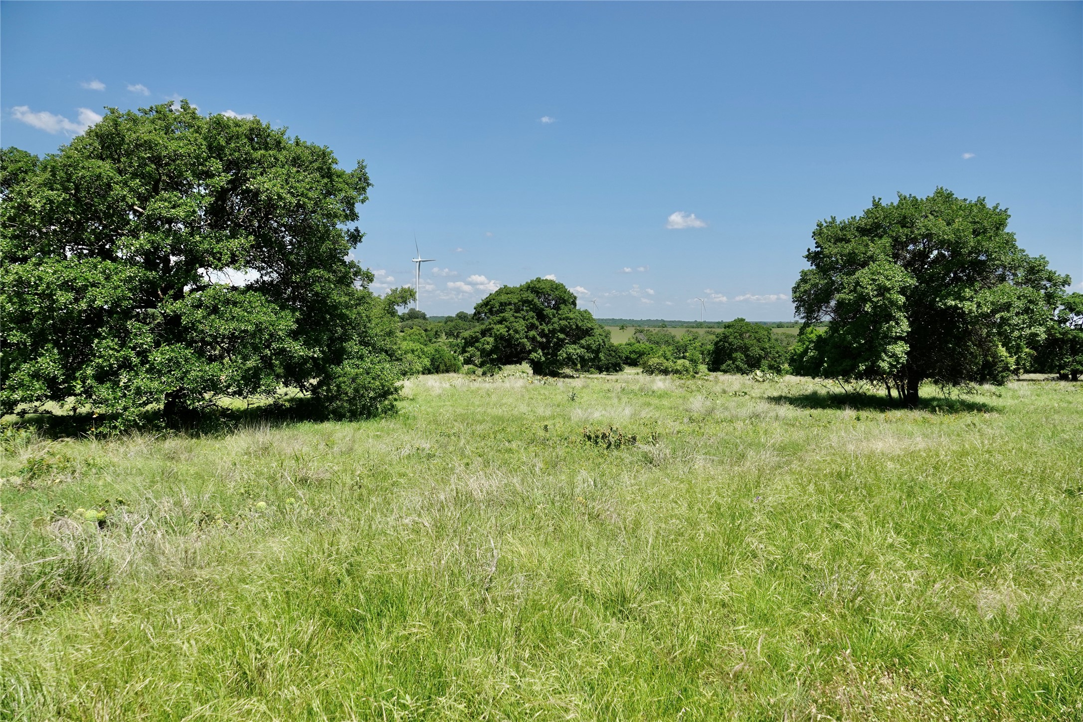 801 N Sh 16 Priddy TX 76870