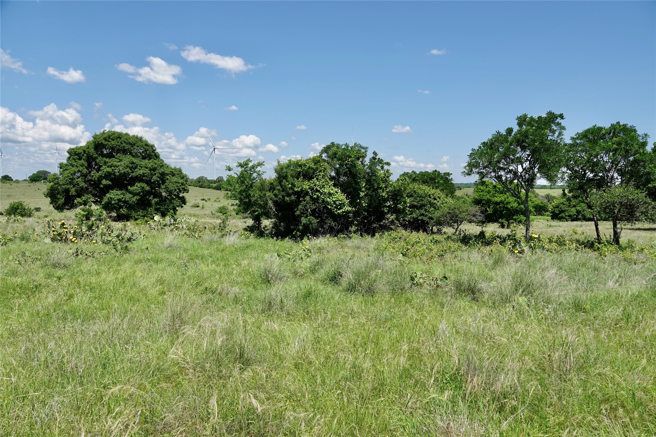 801 N Sh 16 Priddy TX 76870