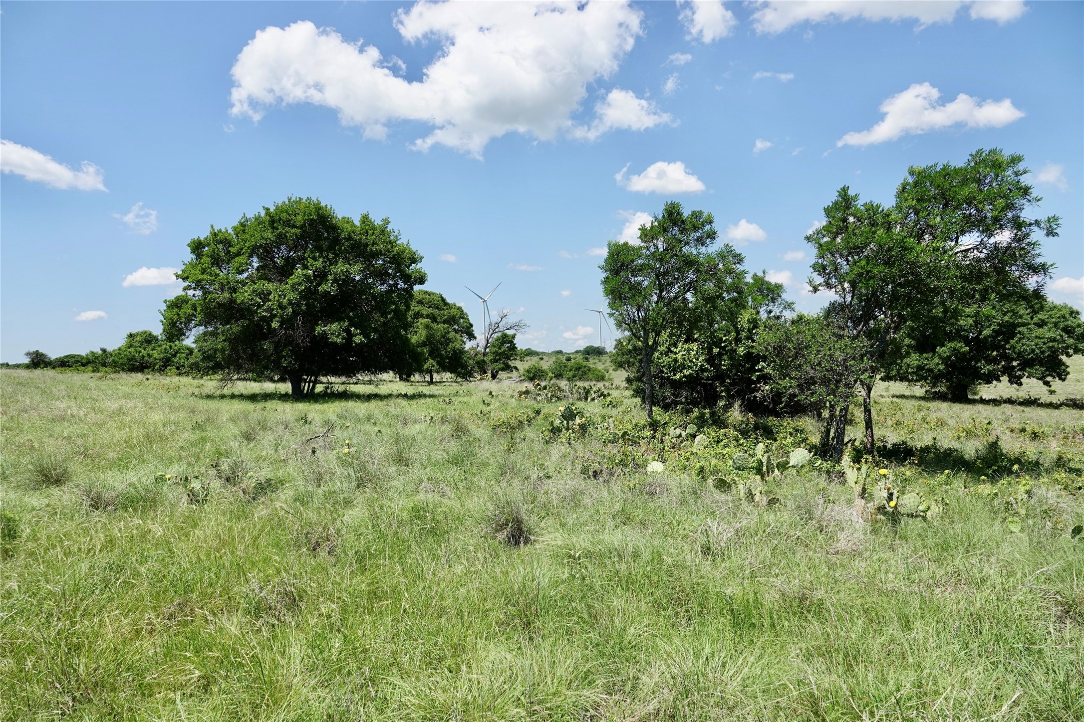 801 N Sh 16 Priddy TX 76870