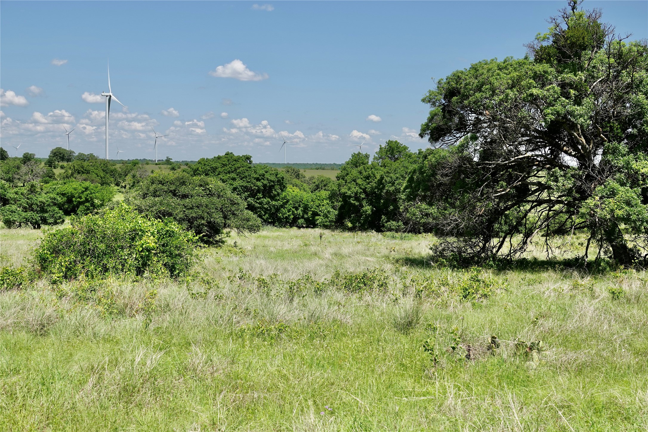 801 N Sh 16 Priddy TX 76870