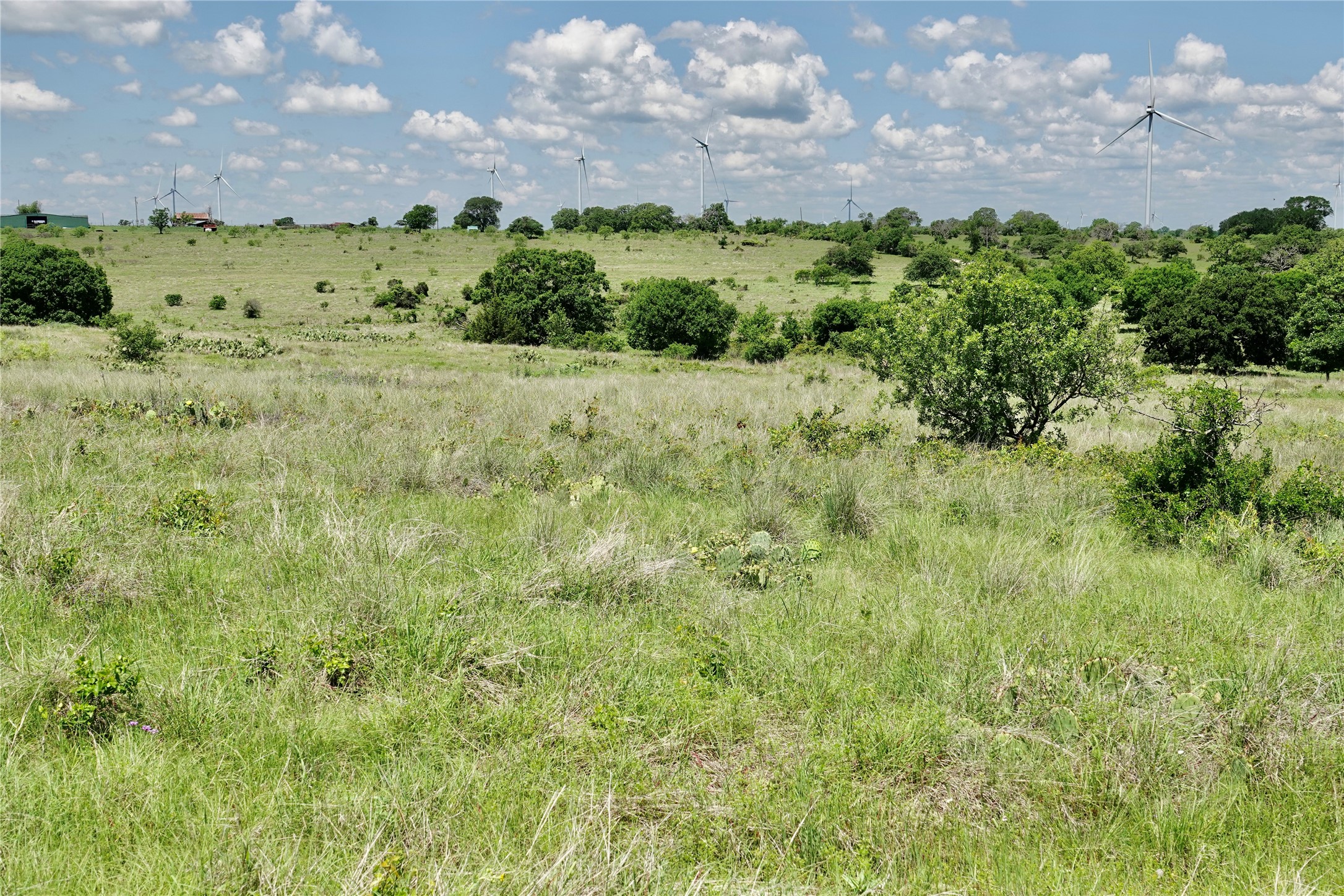 801 N Sh 16 Priddy TX 76870