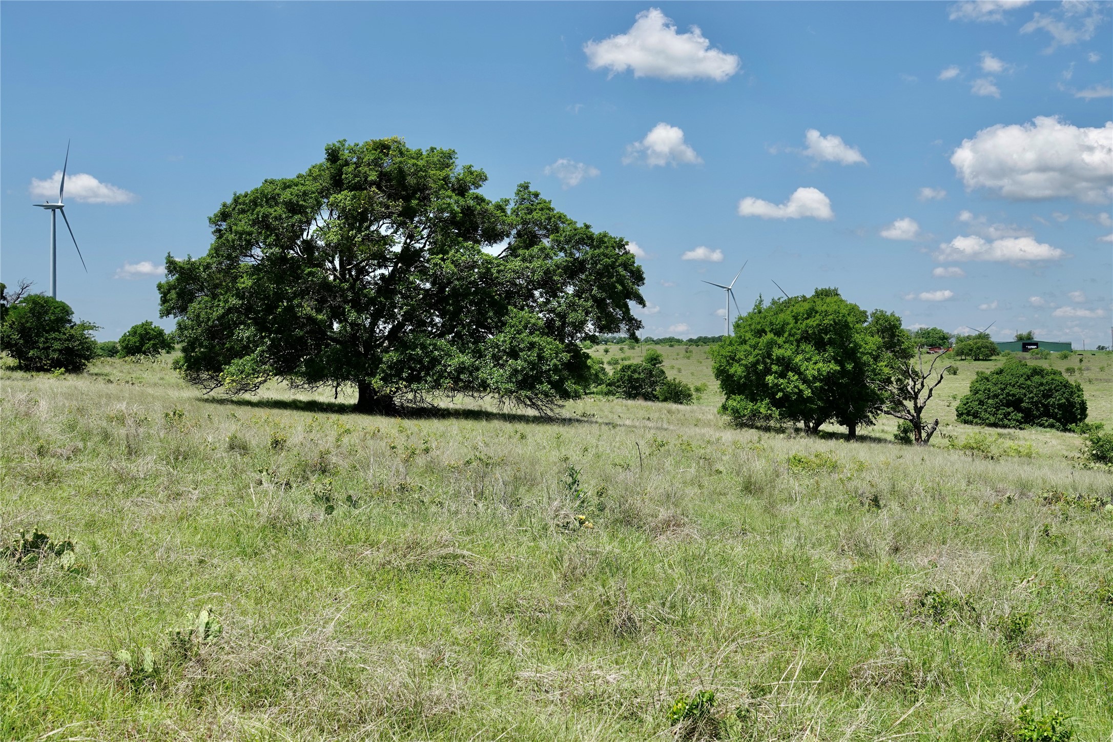 801 N Sh 16 Priddy TX 76870