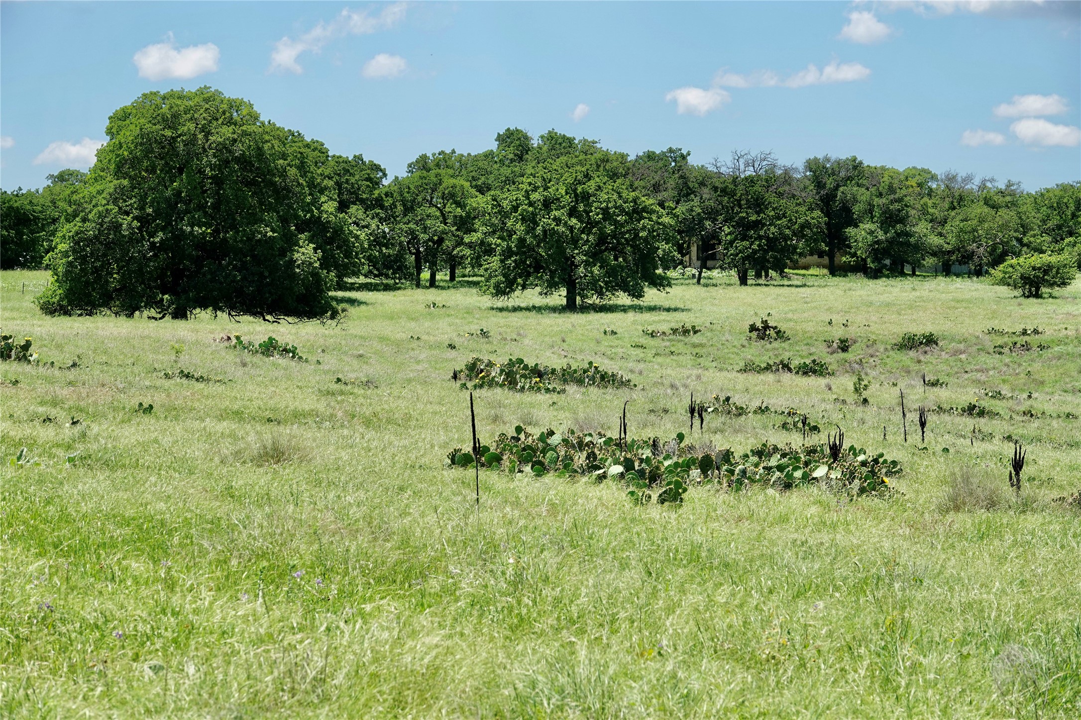 801 N Sh 16 Priddy TX 76870