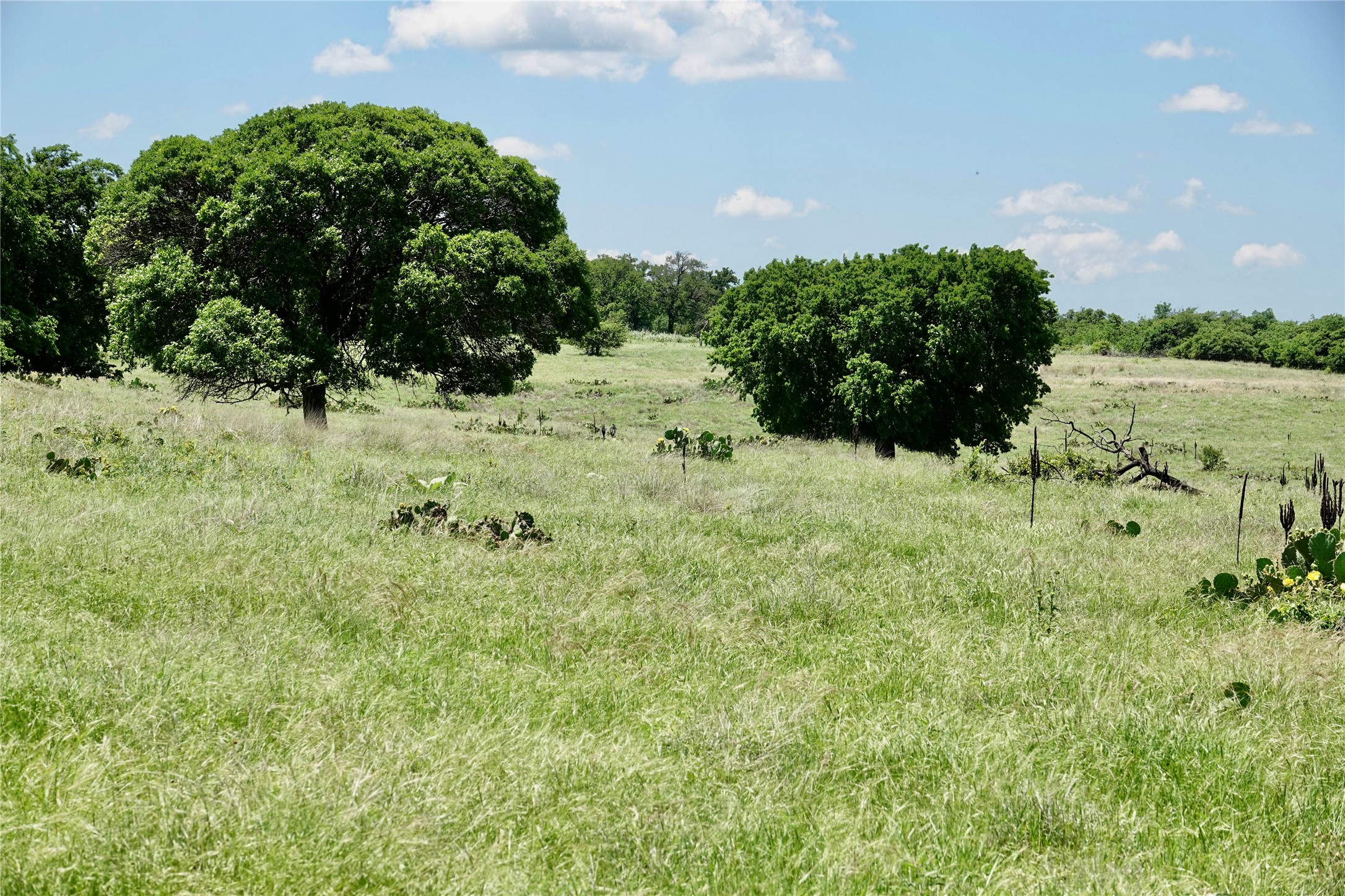 801 N Sh 16 Priddy TX 76870