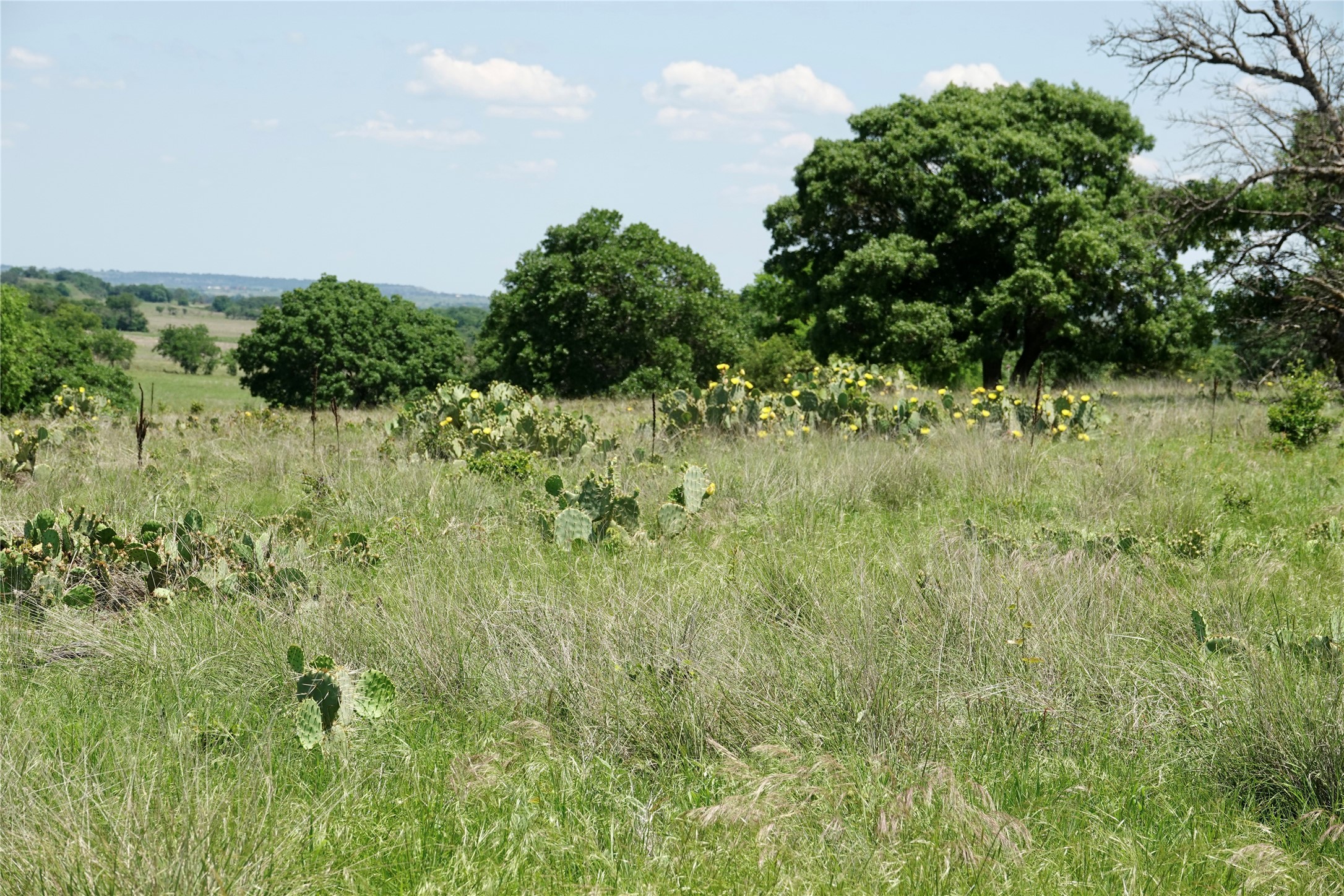 801 N Sh 16 Priddy TX 76870