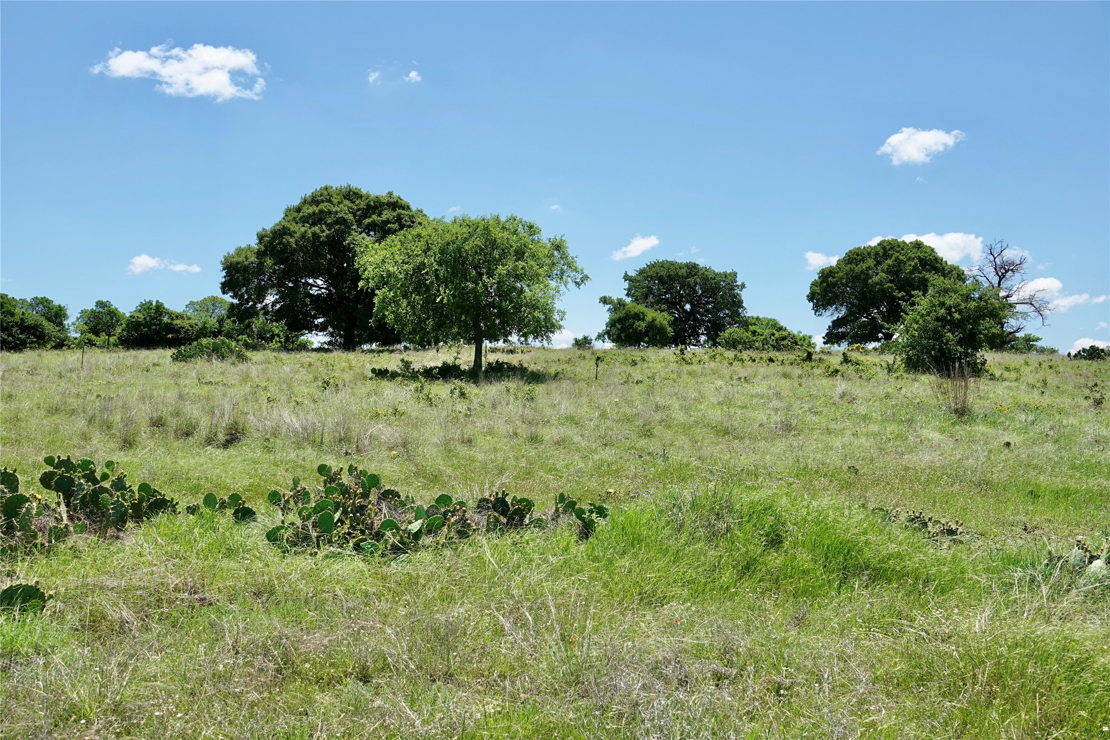 801 N Sh 16 Priddy TX 76870