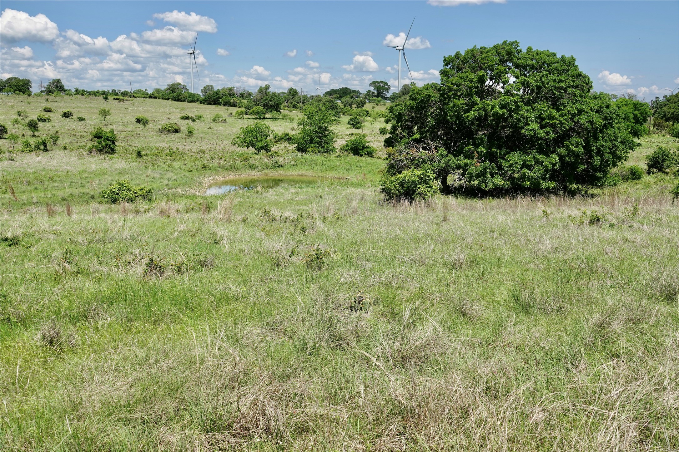801 N Sh 16 Priddy TX 76870
