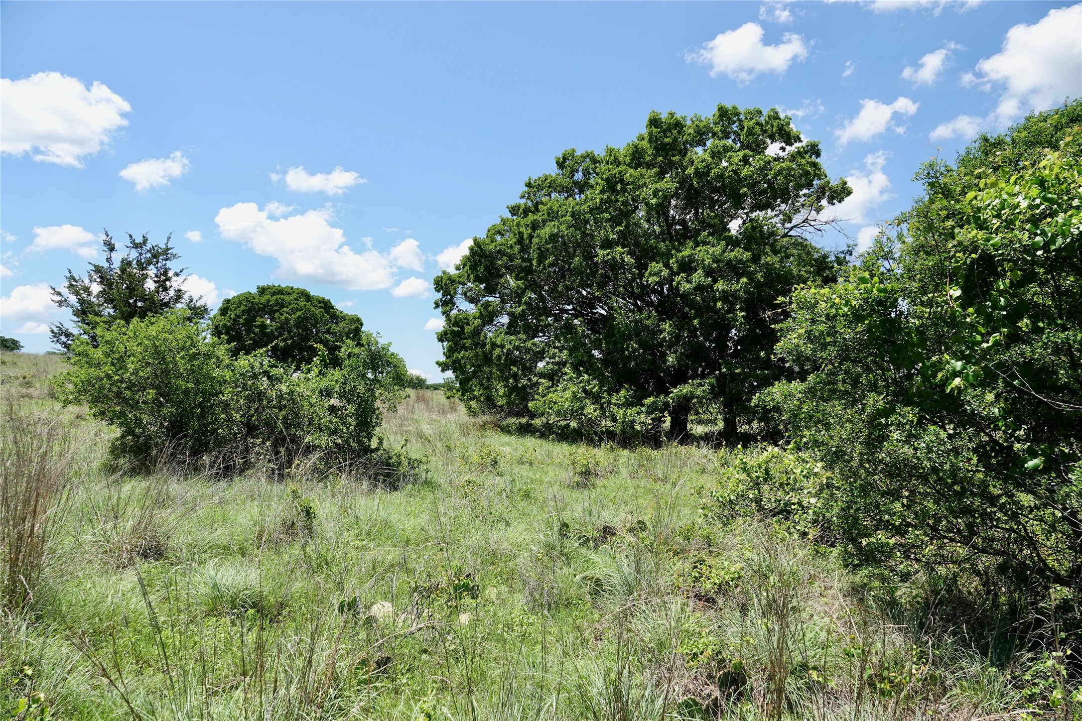 801 N Sh 16 Priddy TX 76870