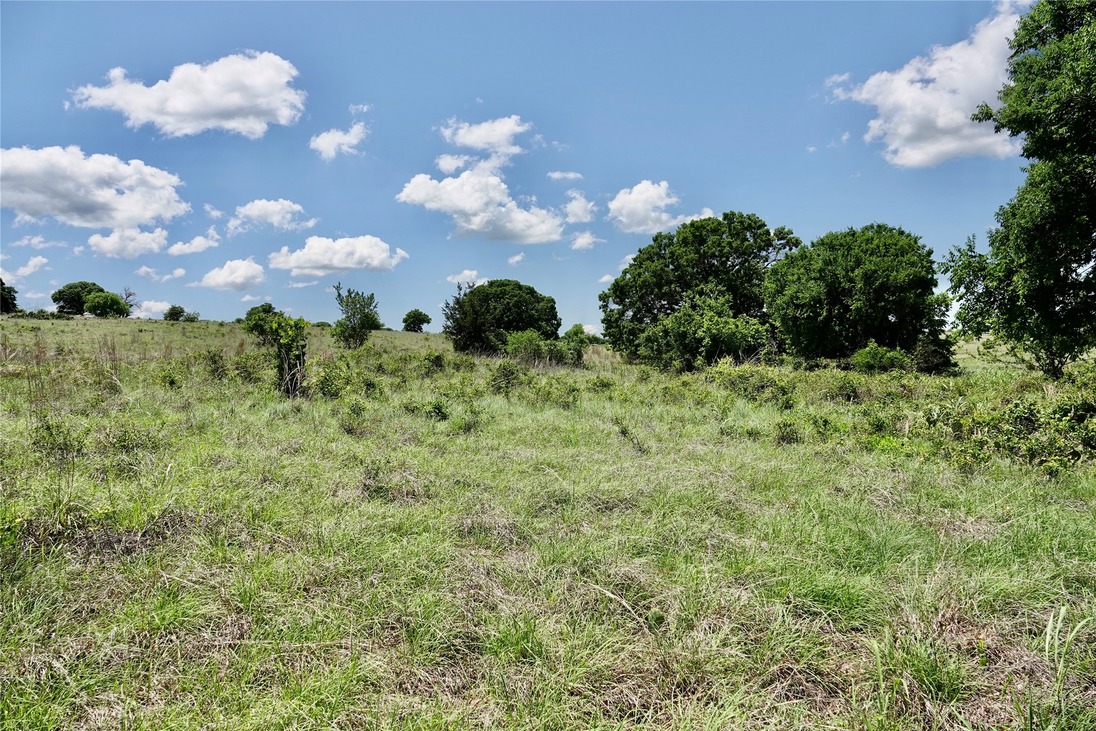801 N Sh 16 Priddy TX 76870