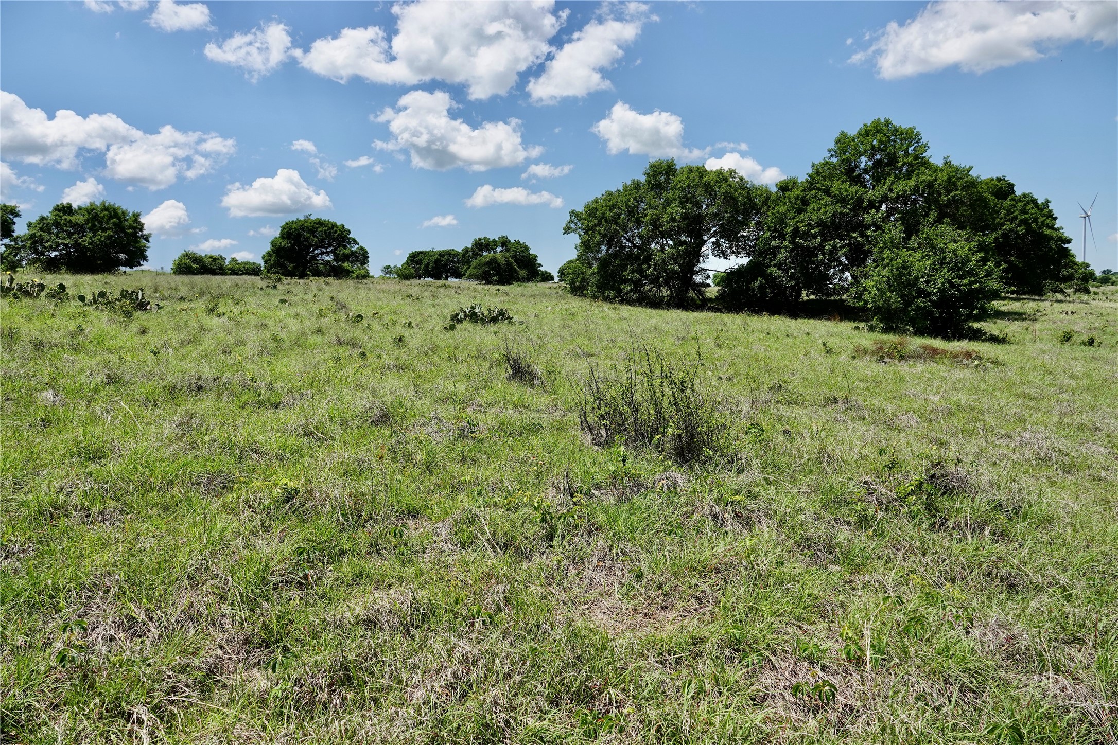 801 N Sh 16 Priddy TX 76870