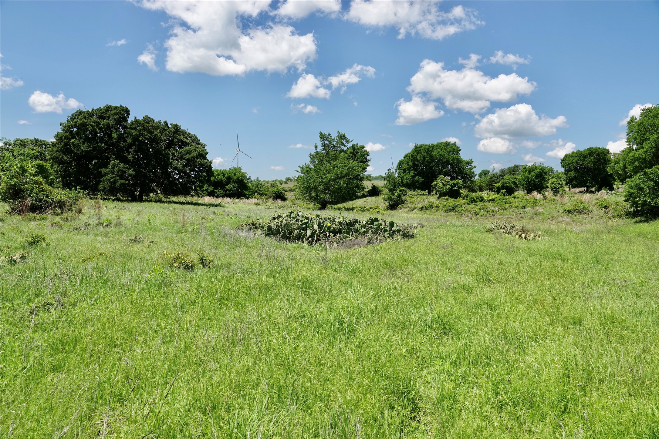 801 N Sh 16 Priddy TX 76870