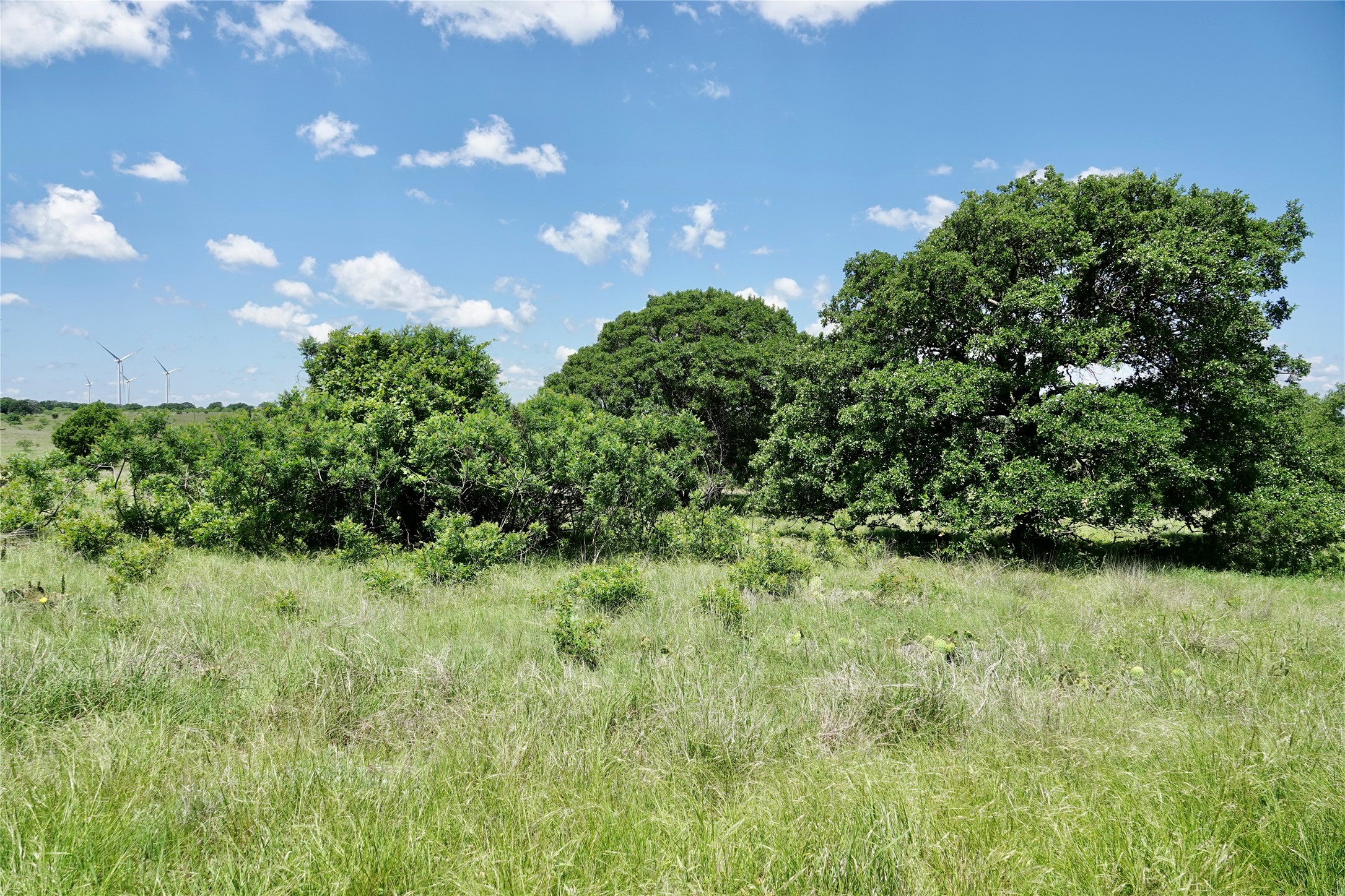 801 N Sh 16 Priddy TX 76870