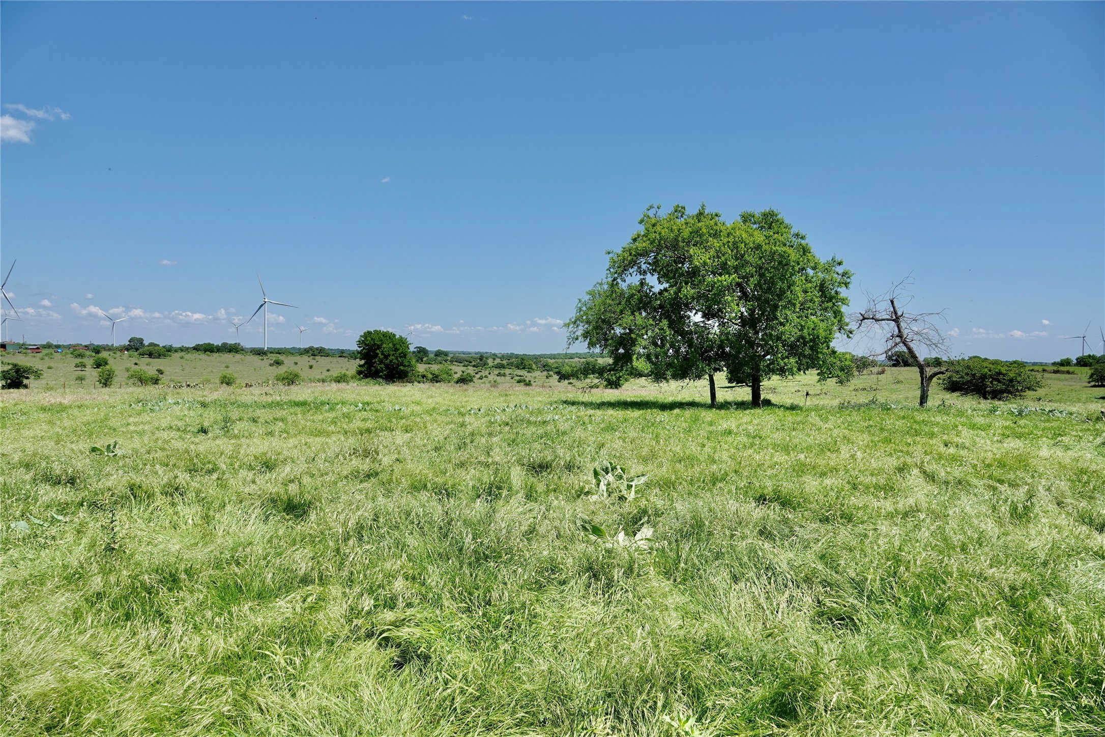 801 N Sh 16 Priddy TX 76870