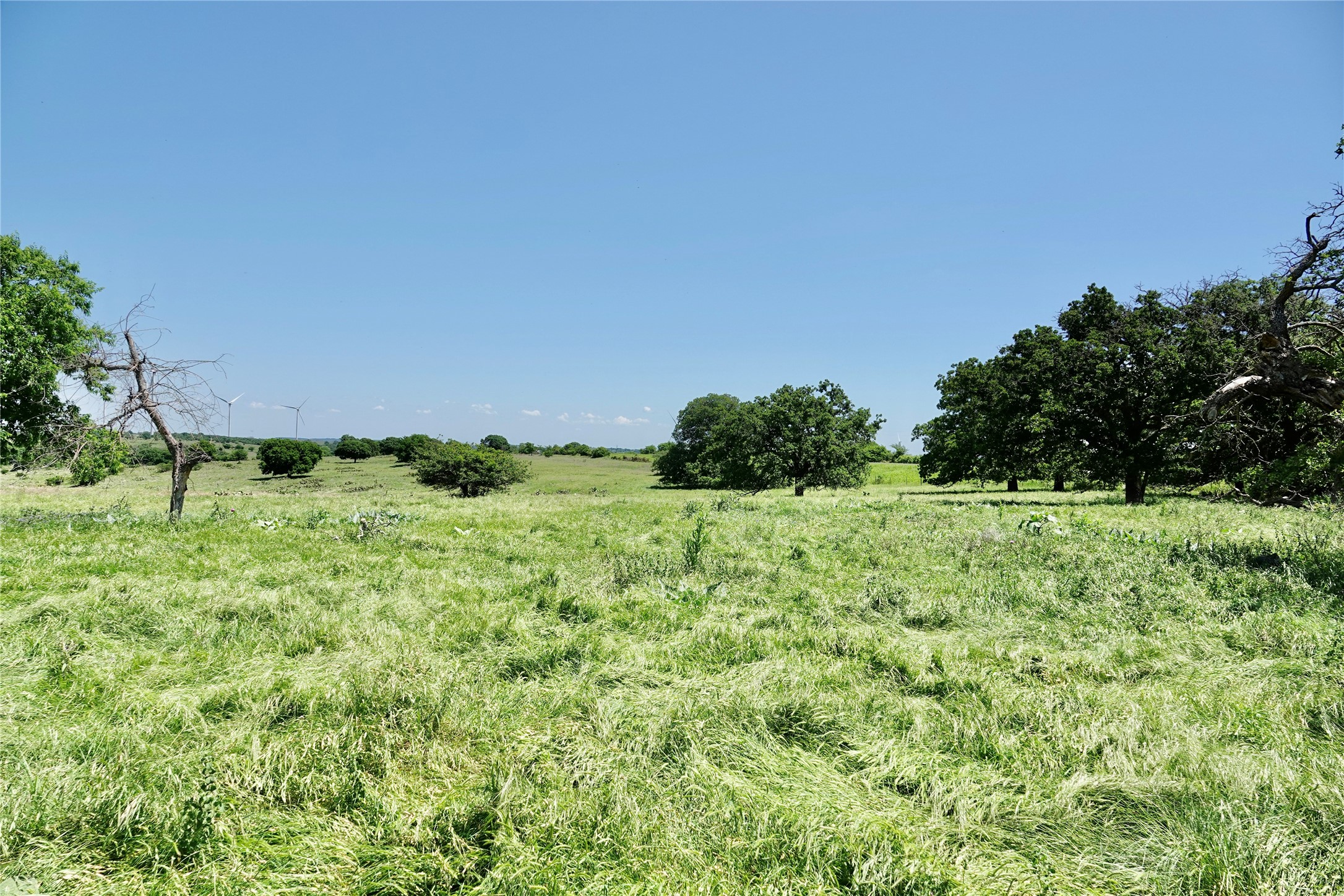 801 N Sh 16 Priddy TX 76870
