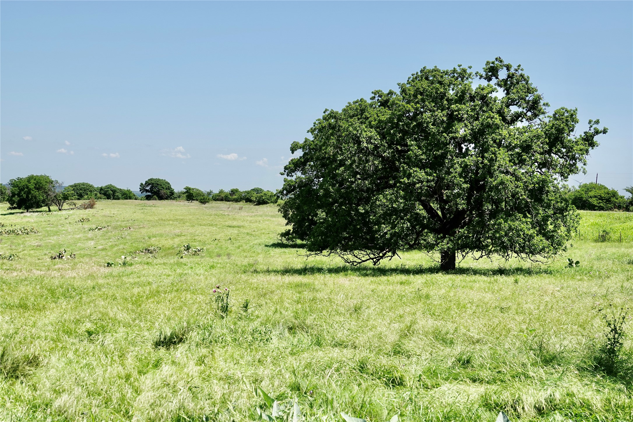801 N Sh 16 Priddy TX 76870