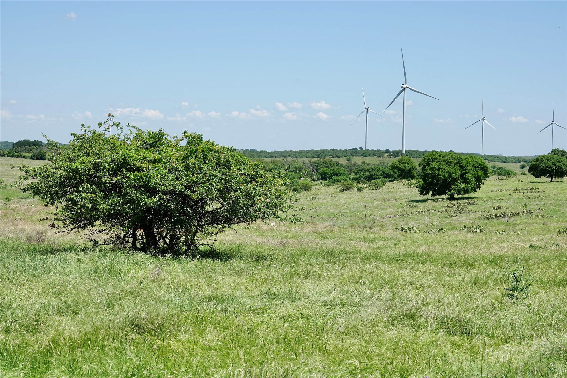 801 N Sh 16 Priddy TX 76870