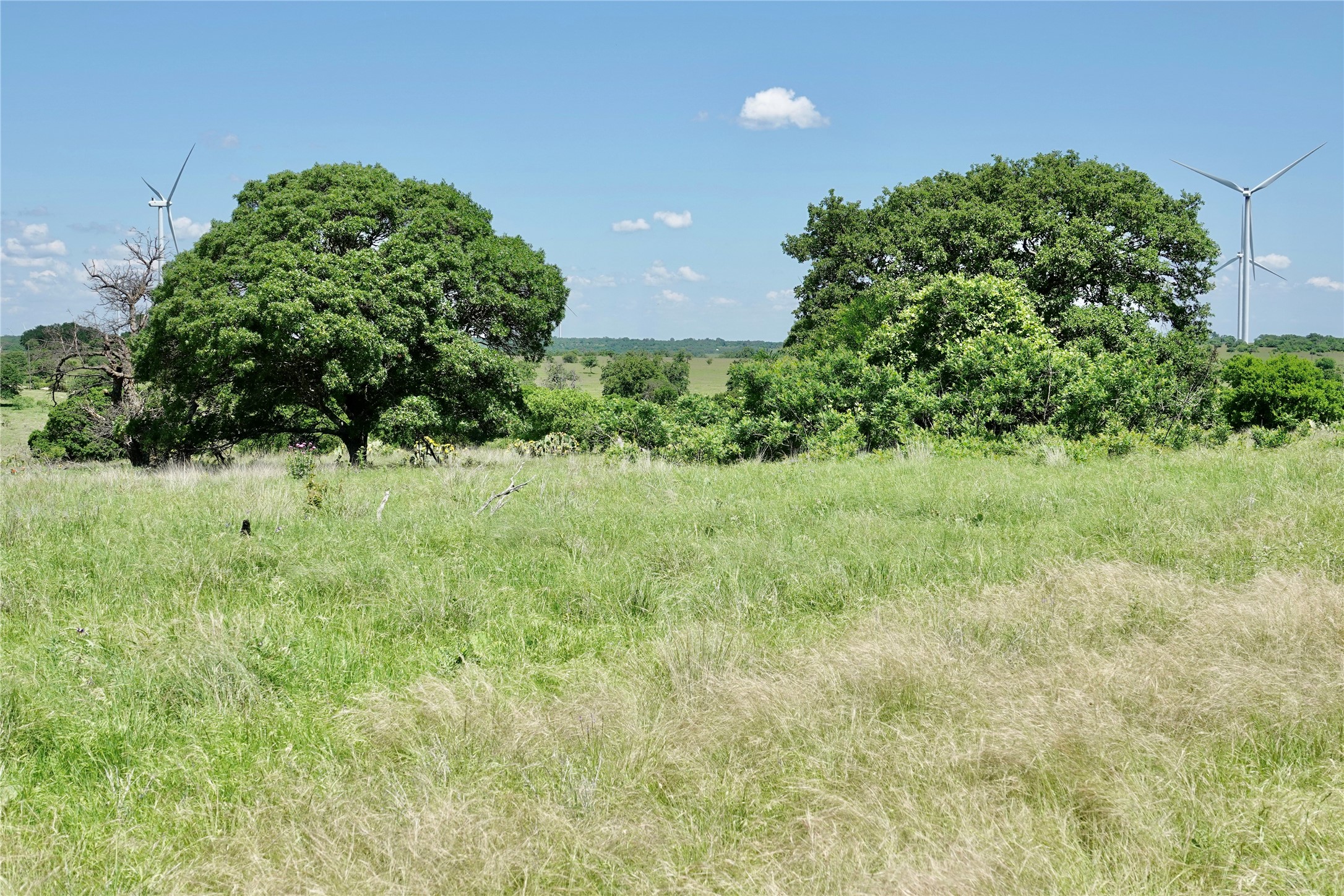 801 N Sh 16 Priddy TX 76870