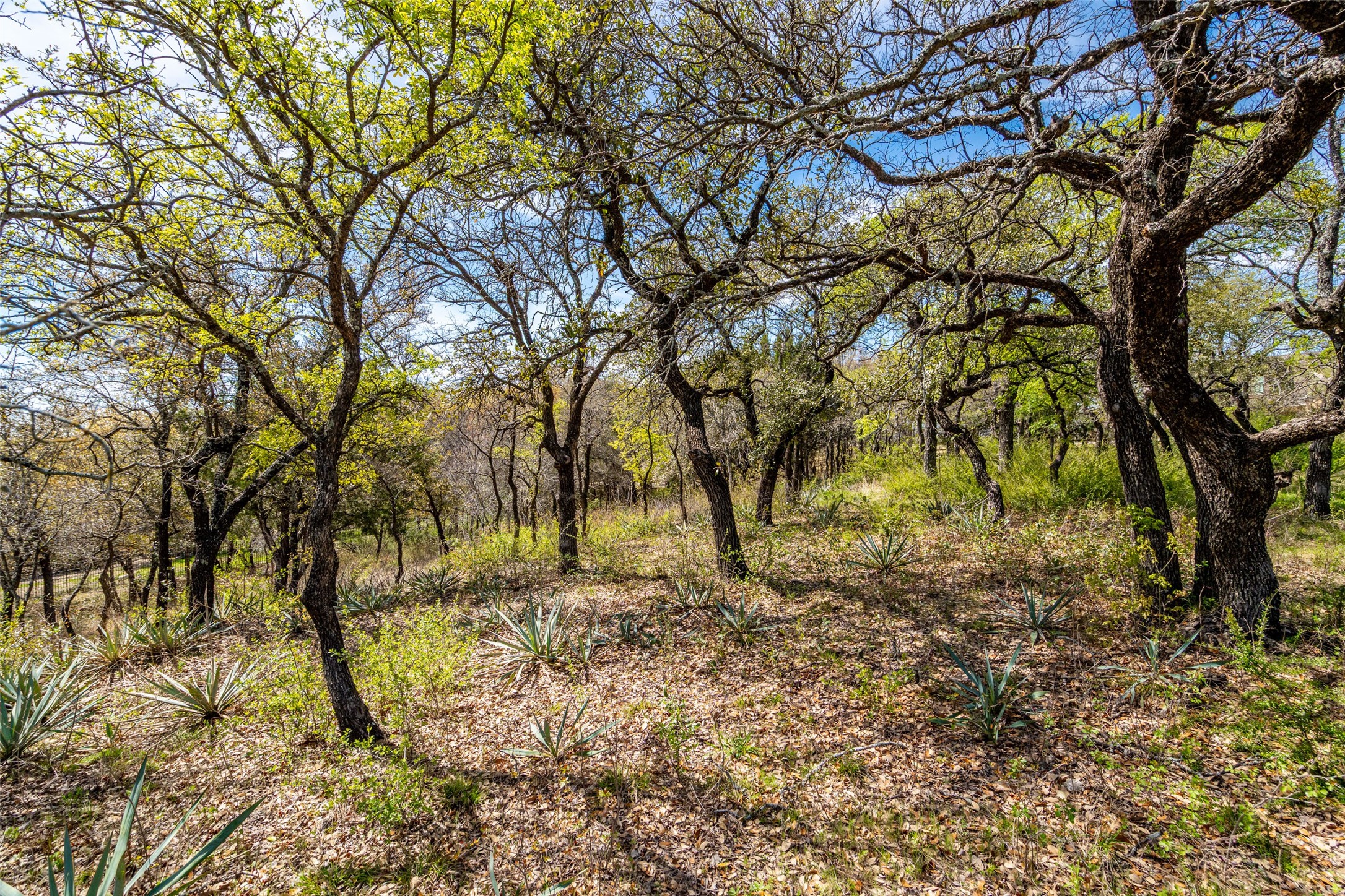 4261 Estancia Way Fort Worth TX 76108