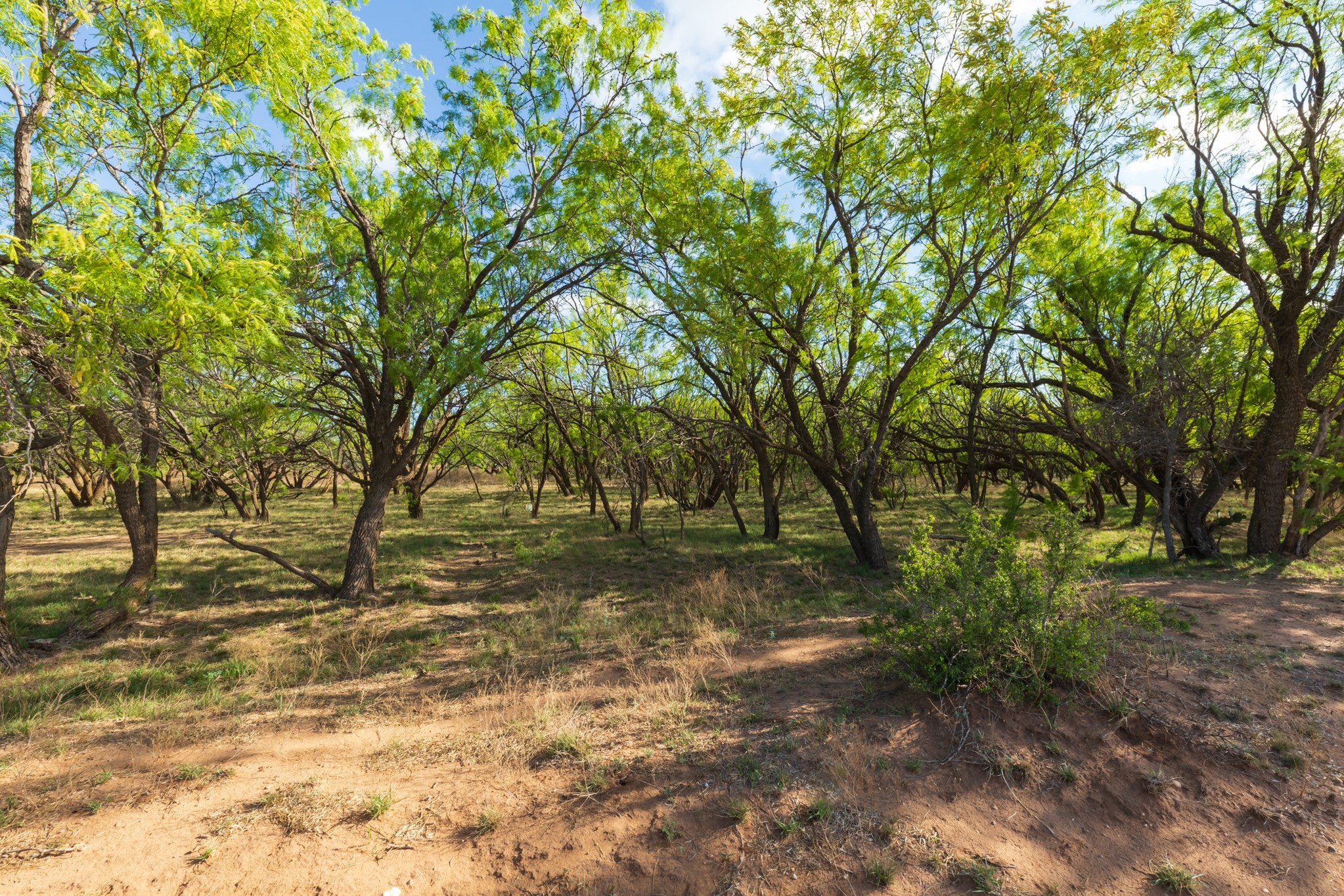Tbd Farm Market 600 Highway Haskell TX 79521