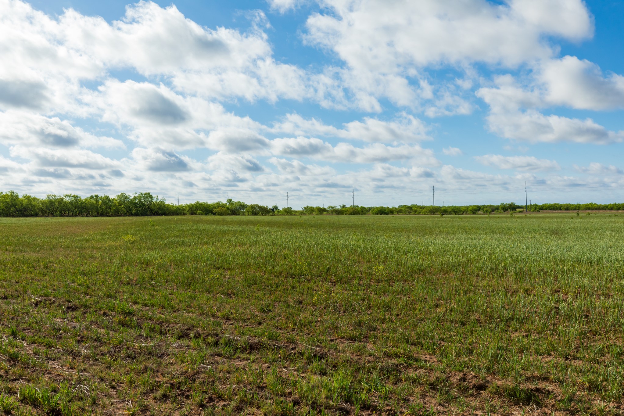 Tbd Farm Market 600 Highway Haskell TX 79521