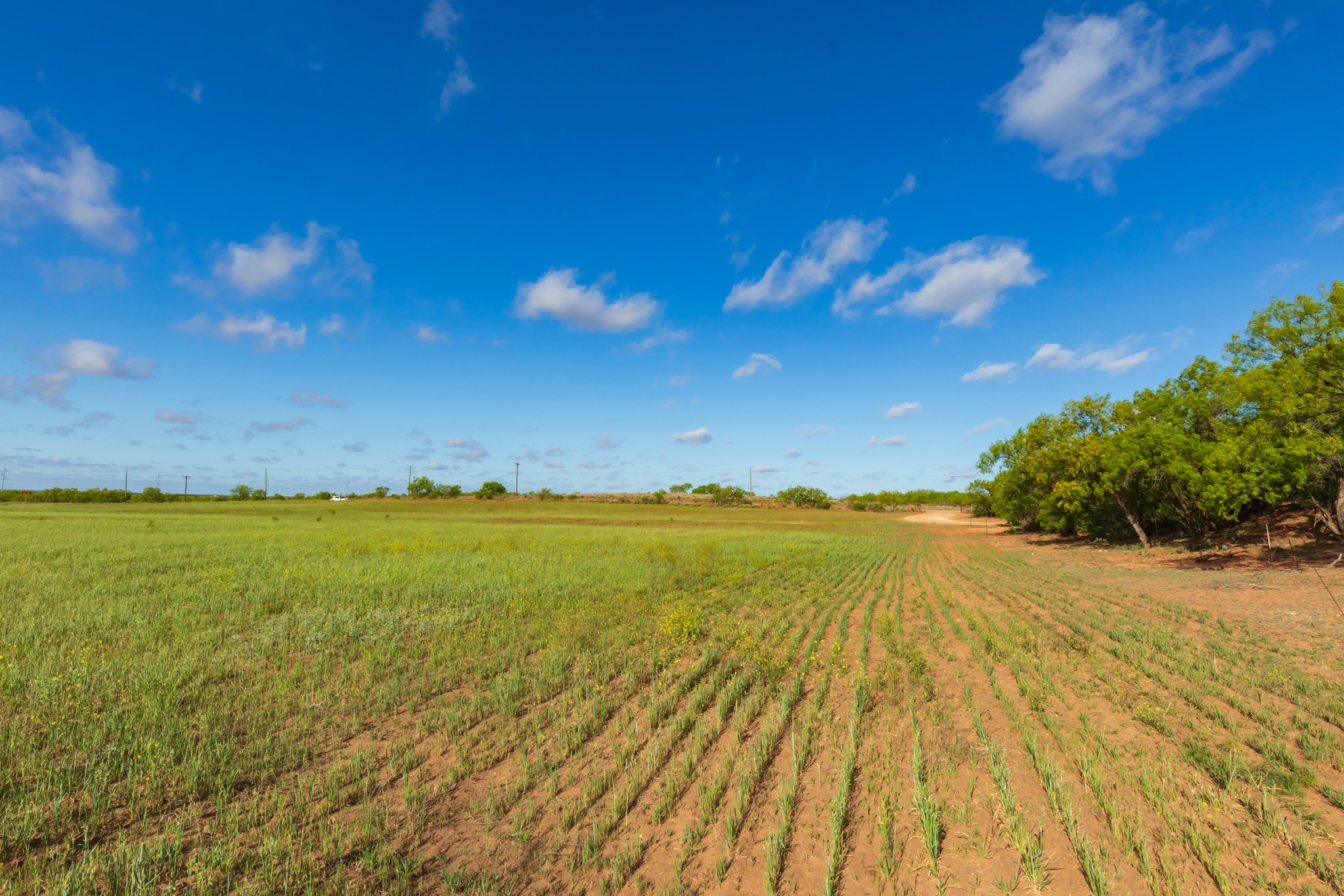 Tbd Farm Market 600 Highway Haskell TX 79521