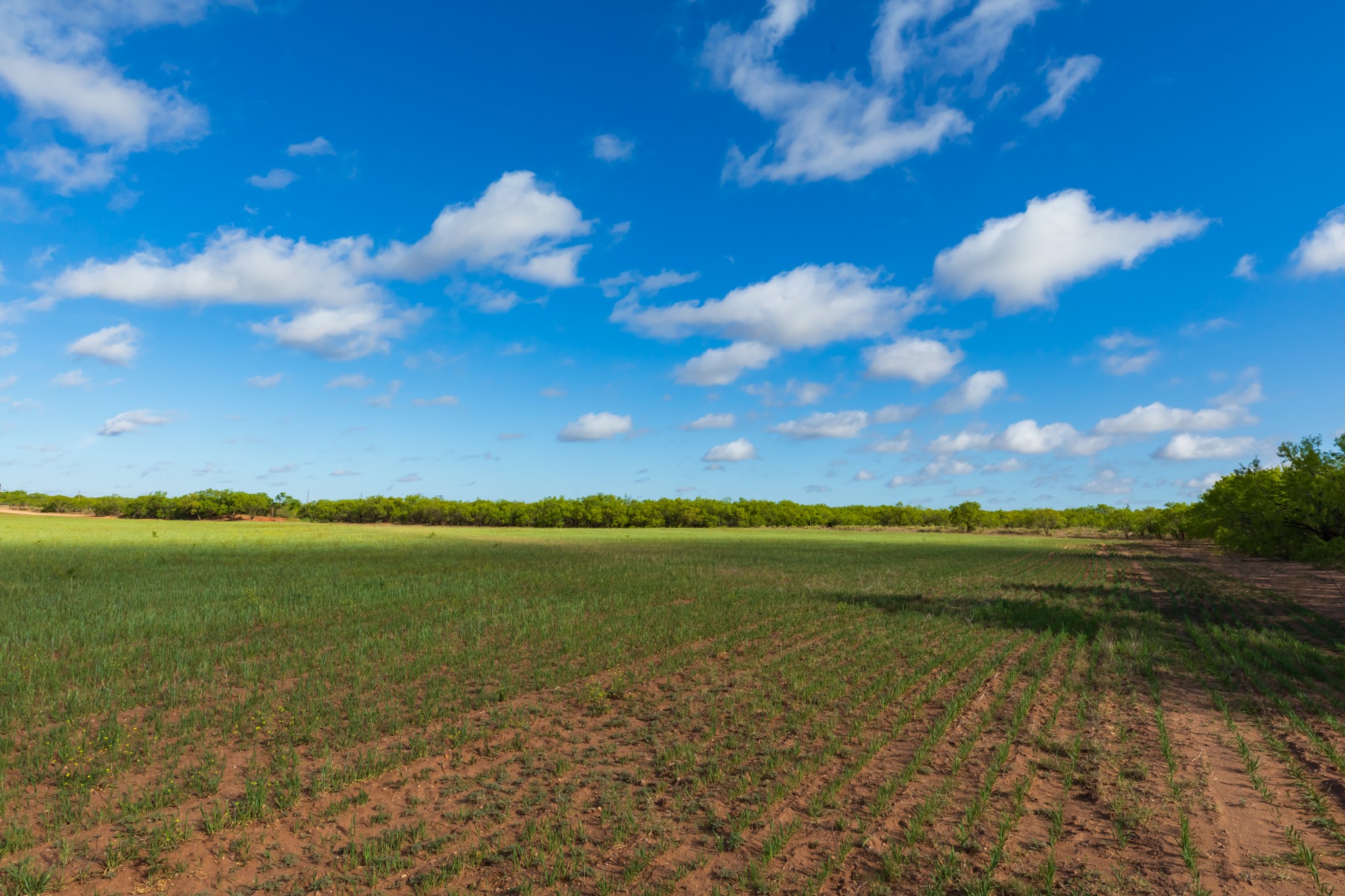 Tbd Farm Market 600 Highway Haskell TX 79521