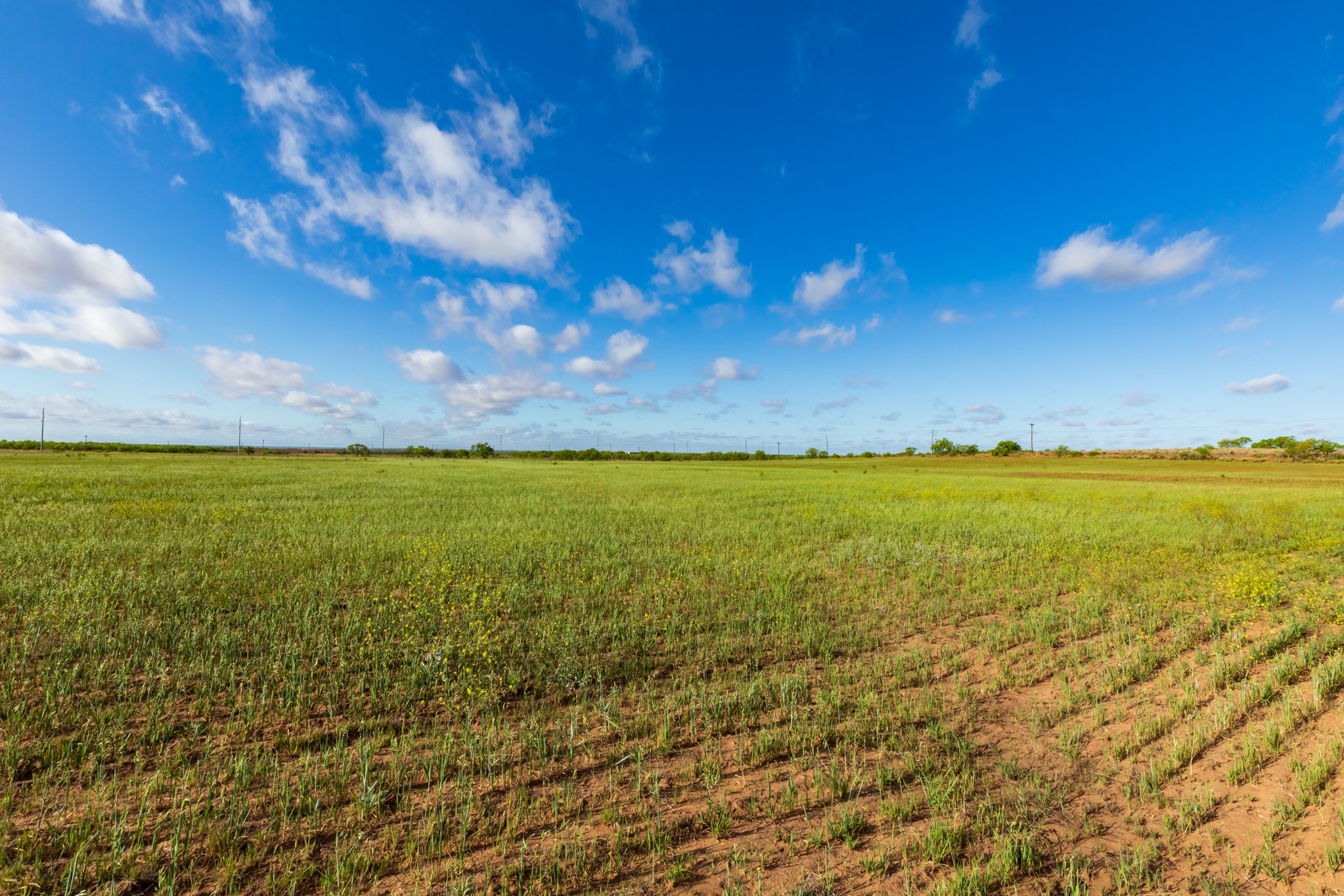 Tbd Farm Market 600 Highway Haskell TX 79521