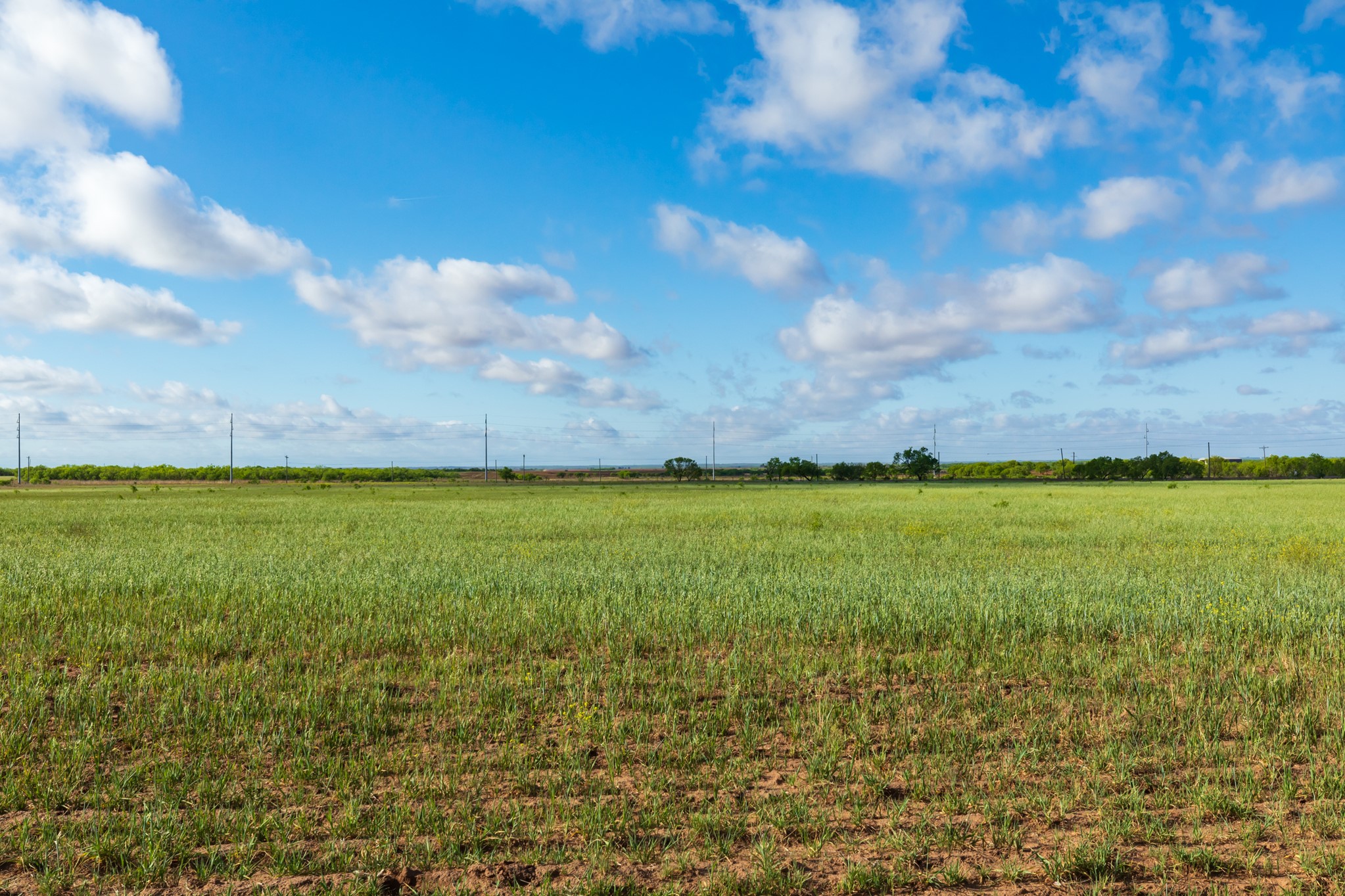 Tbd Farm Market 600 Highway Haskell TX 79521