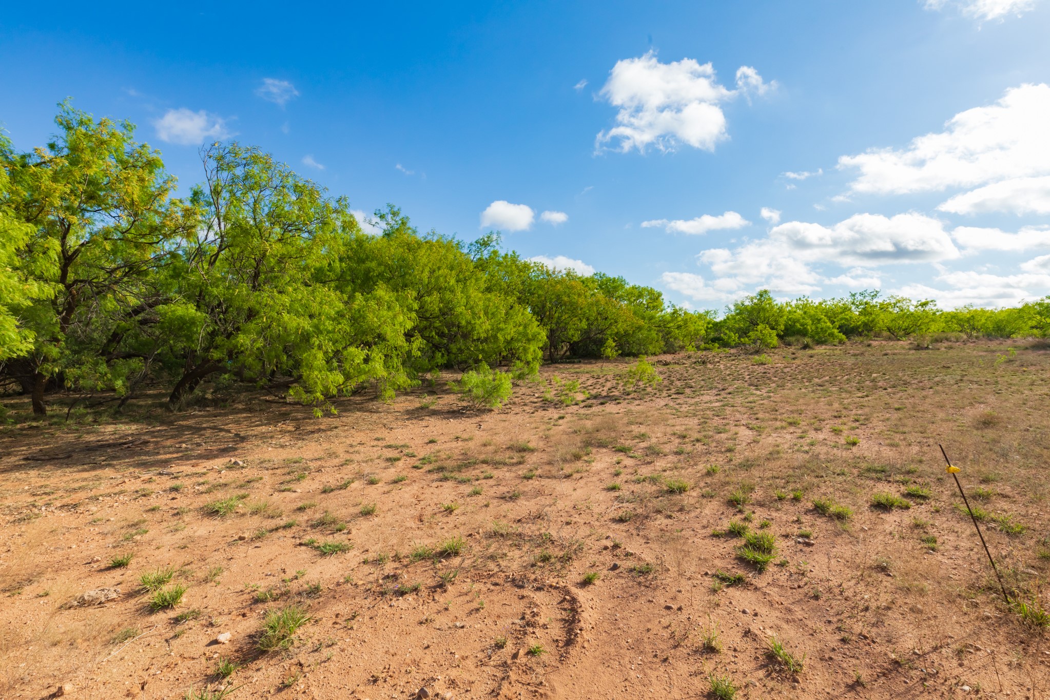 Tbd Farm Market 600 Highway Haskell TX 79521