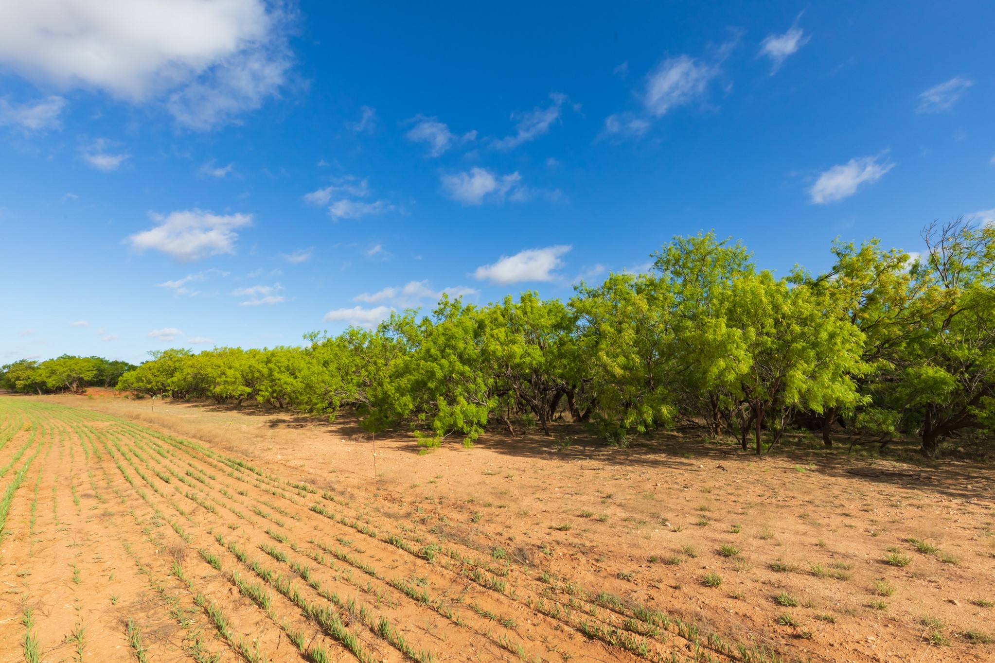 Tbd Farm Market 600 Highway Haskell TX 79521