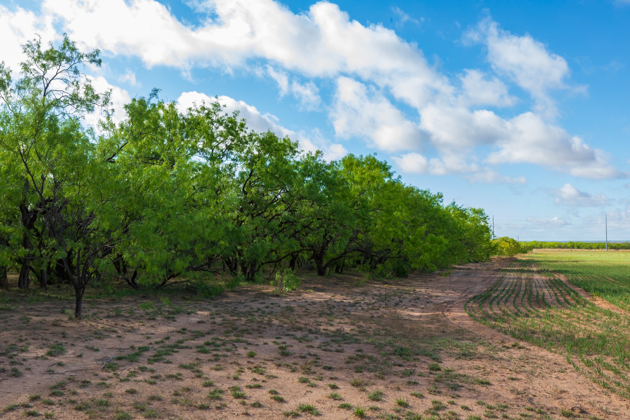 Tbd Farm Market 600 Highway Haskell TX 79521
