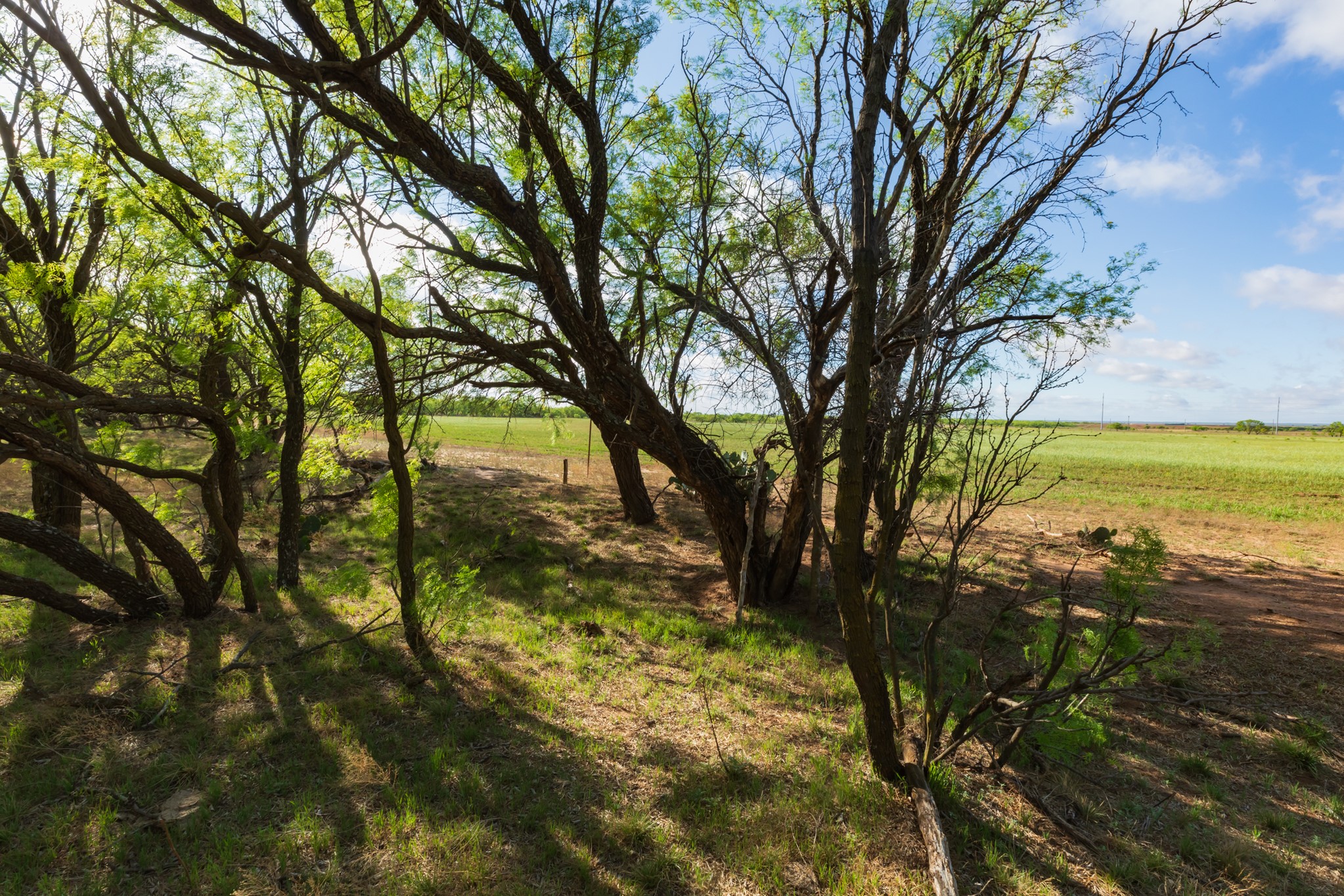Tbd Farm Market 600 Highway Haskell TX 79521