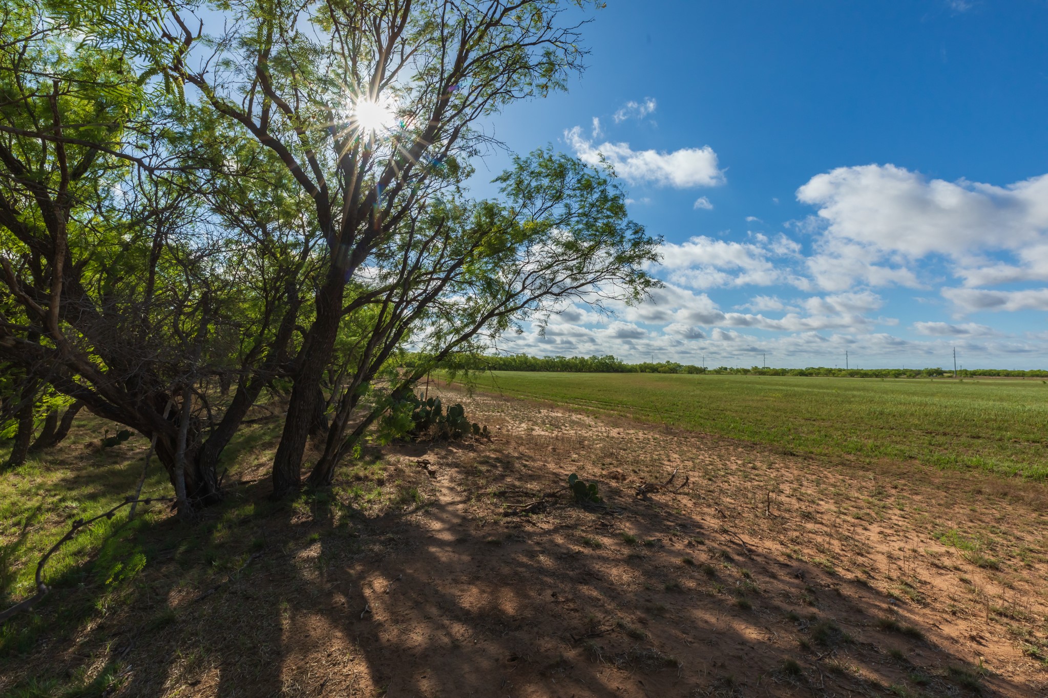 Tbd Farm Market 600 Highway Haskell TX 79521