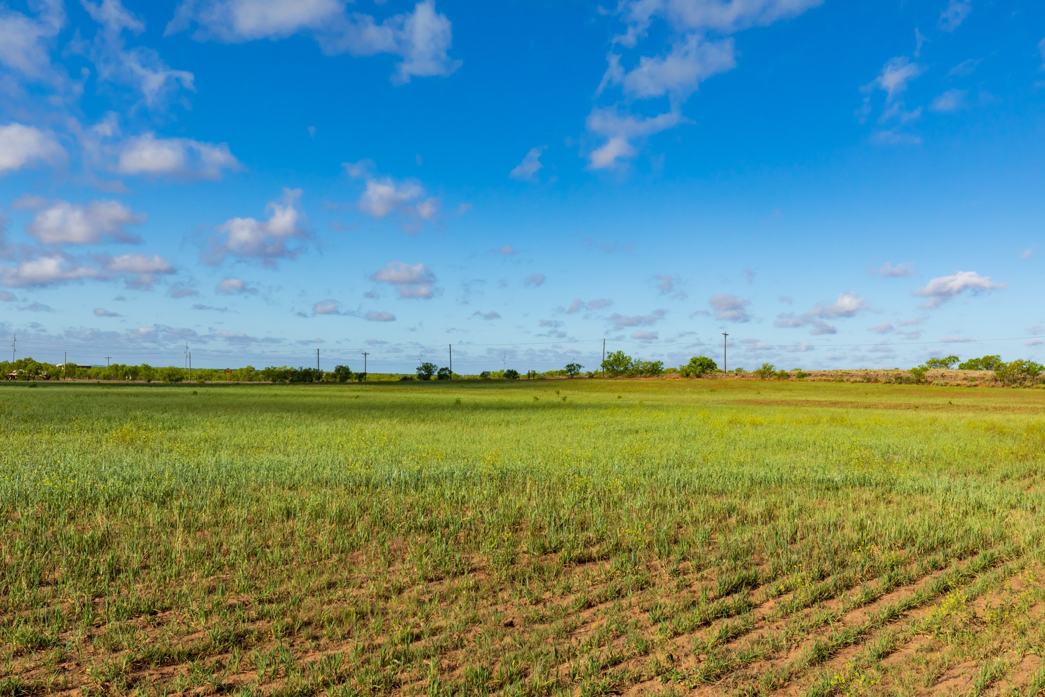Tbd Farm Market 600 Highway Haskell TX 79521