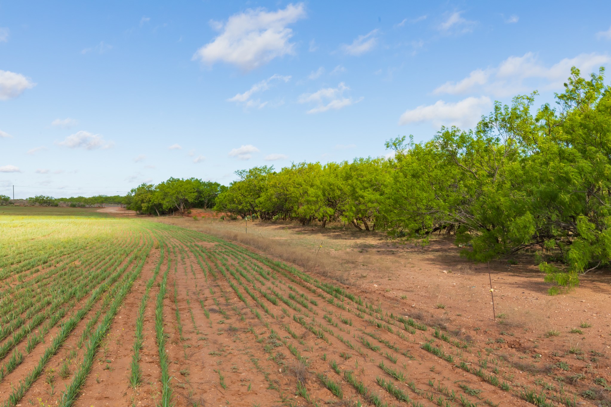 Tbd Farm Market 600 Highway Haskell TX 79521