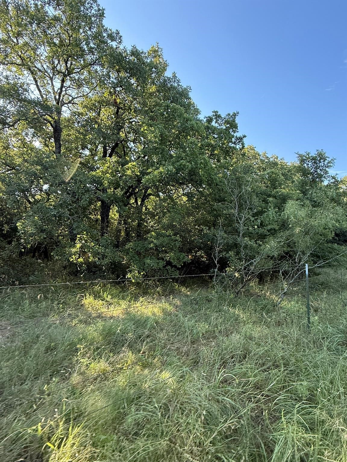 8801 Tx-59 Bowie TX 76230