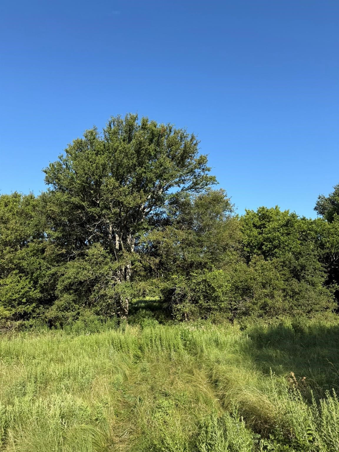 8801 Tx-59 Bowie TX 76230
