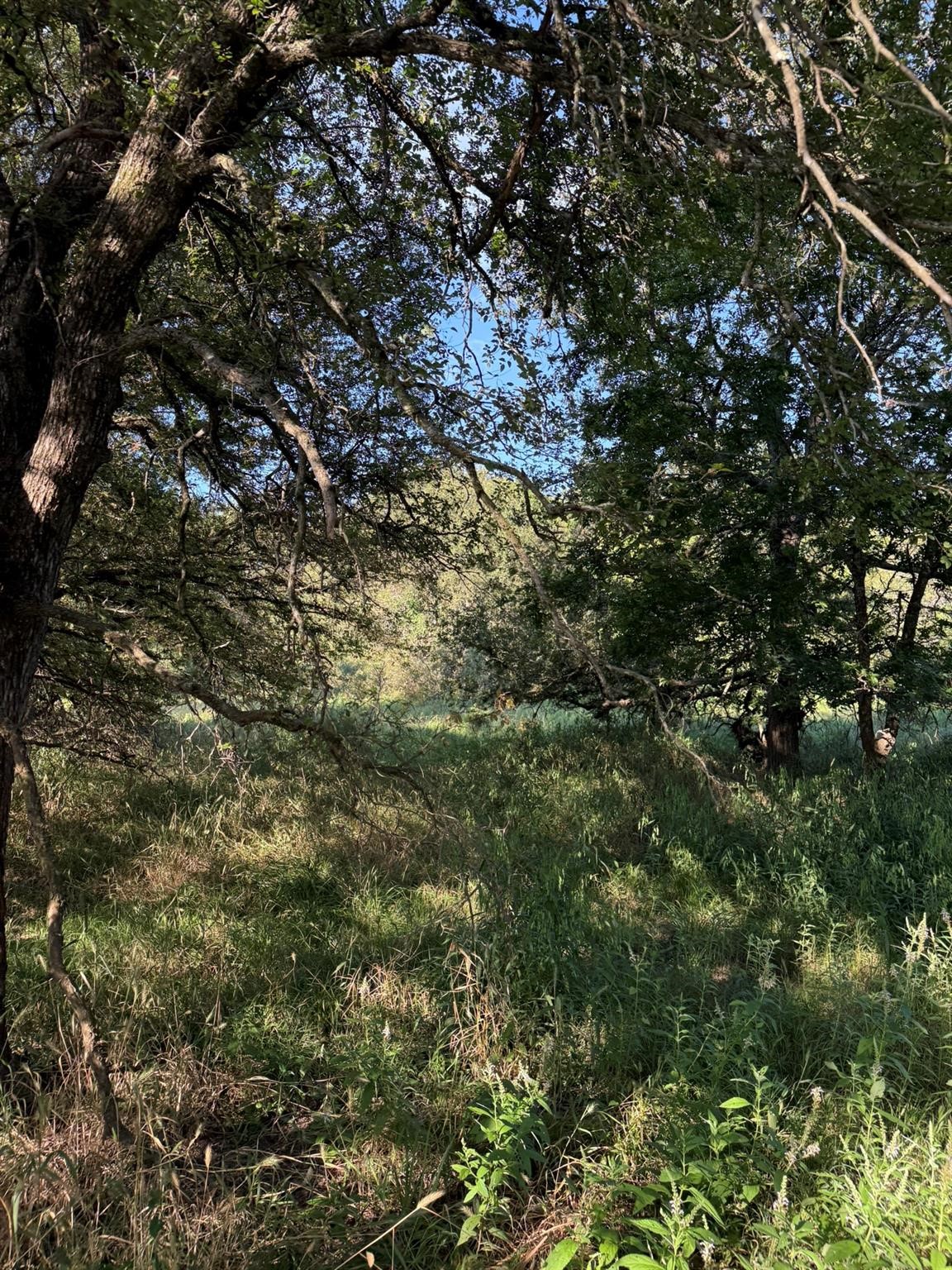 8801 Tx-59 Bowie TX 76230