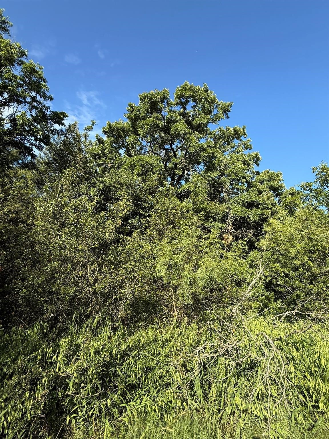 8801 Tx-59 Bowie TX 76230