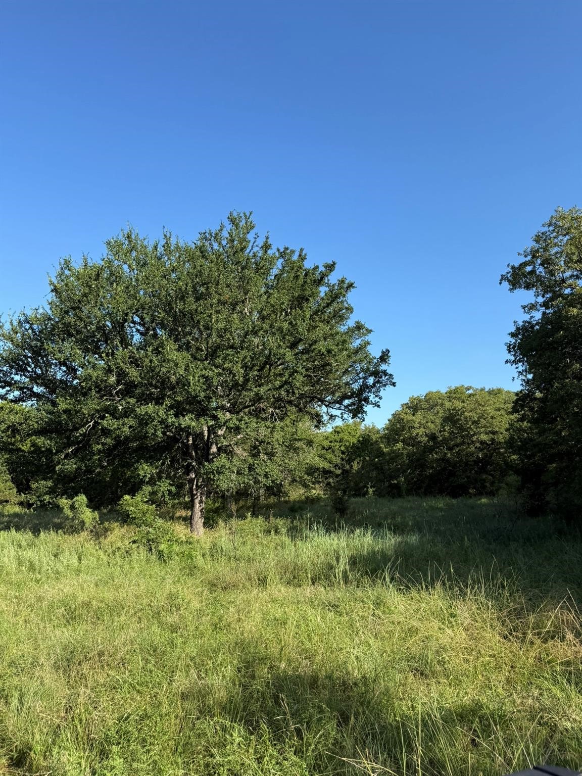 8801 Tx-59 Bowie TX 76230