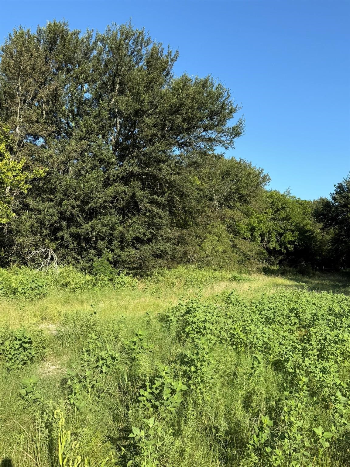 8801 Tx-59 Bowie TX 76230