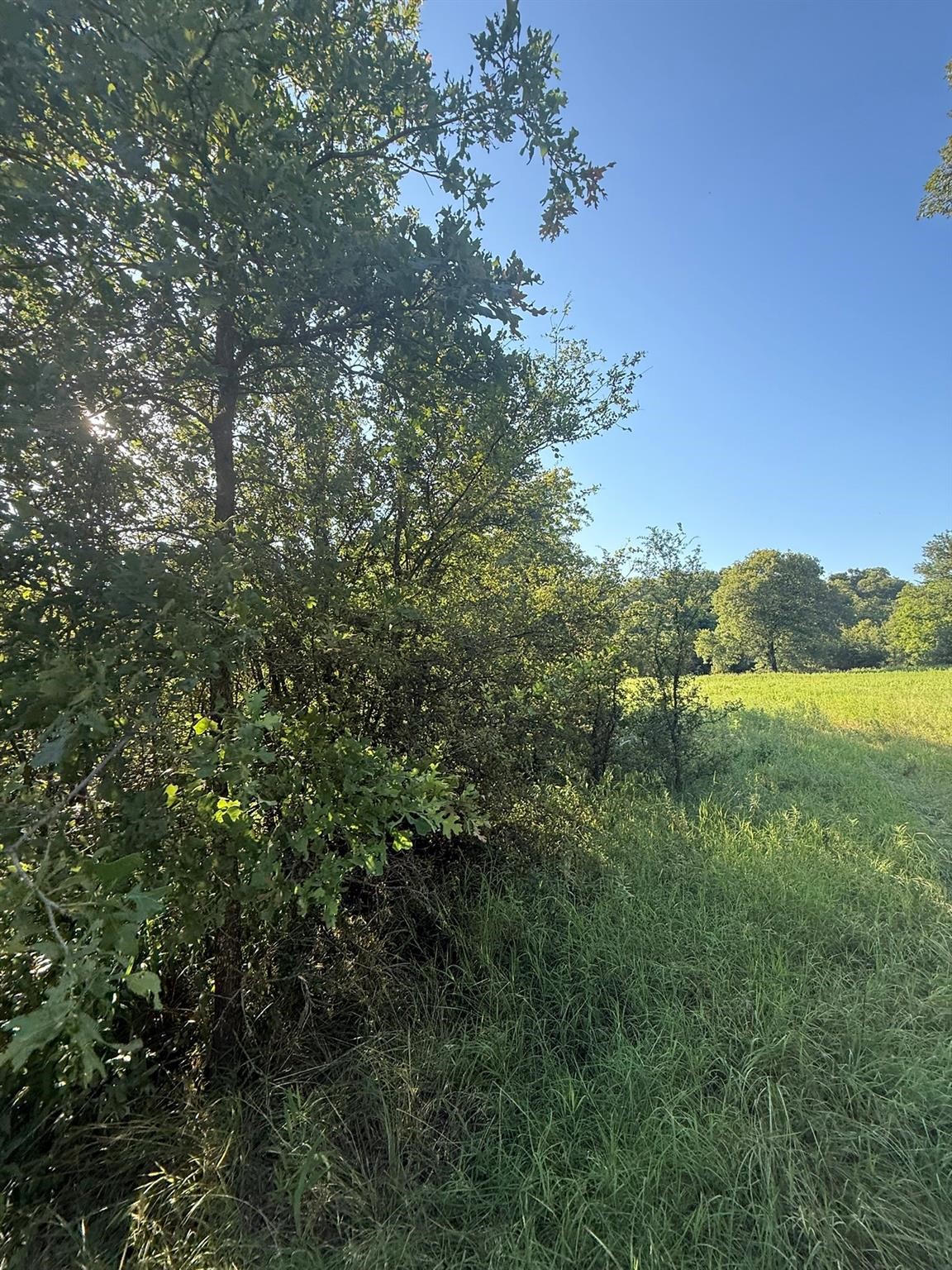 8801 Tx-59 Bowie TX 76230