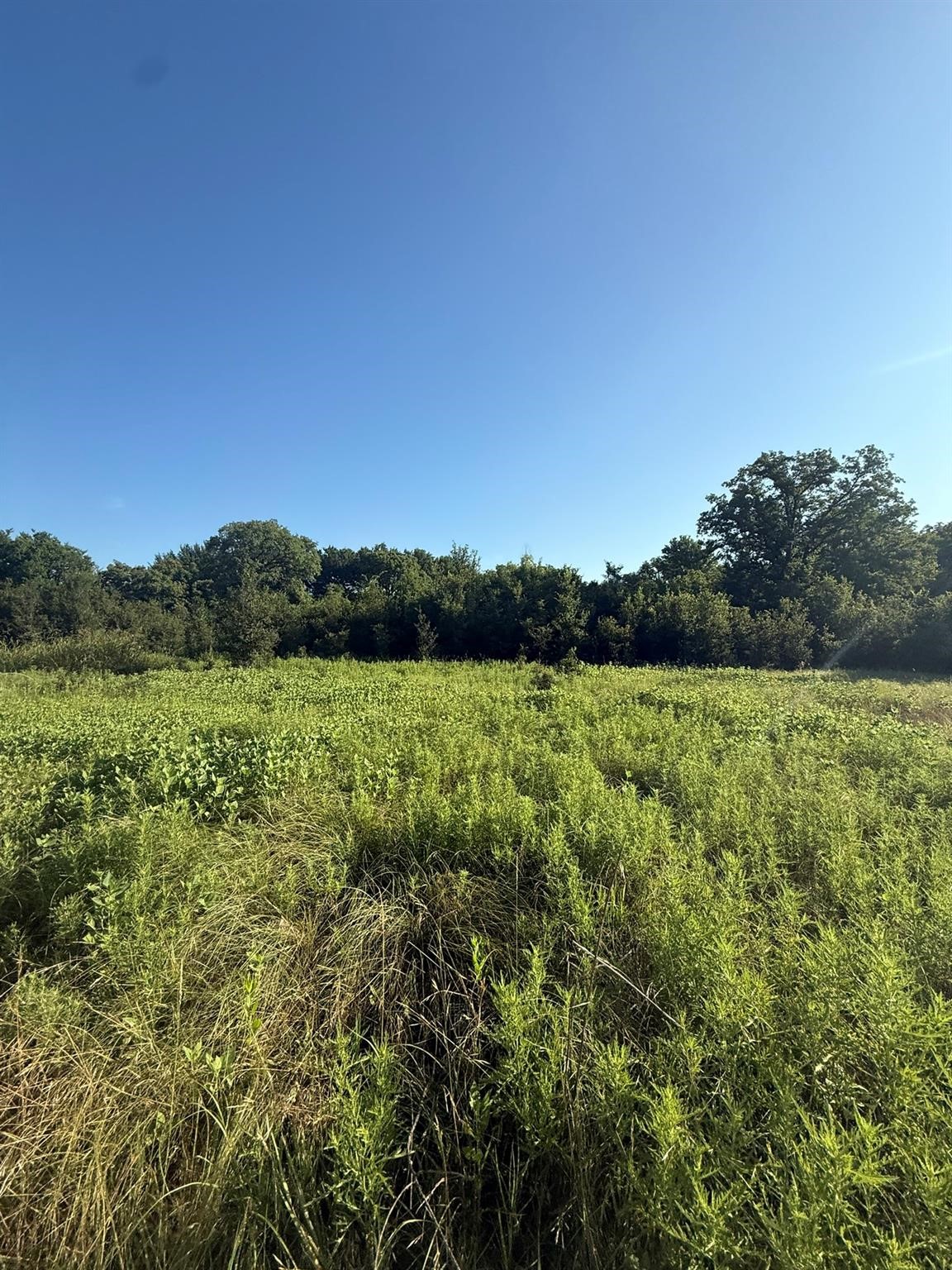 8801 Tx-59 Bowie TX 76230