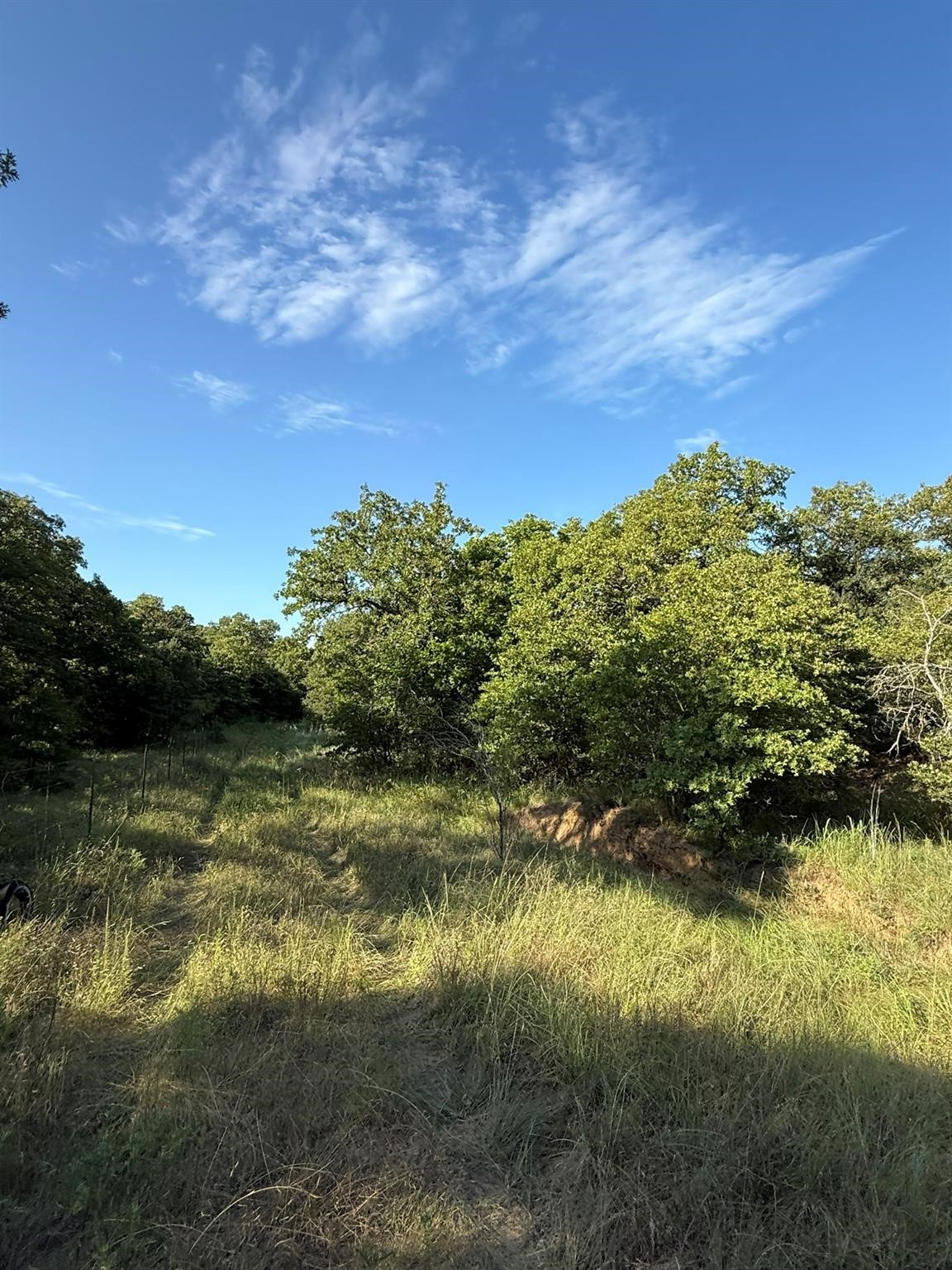 8801 Tx-59 Bowie TX 76230