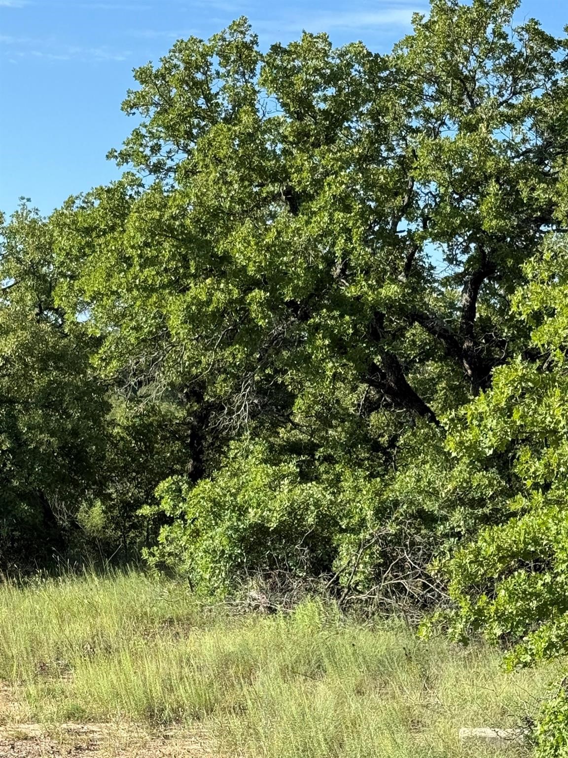8801 Tx-59 Bowie TX 76230