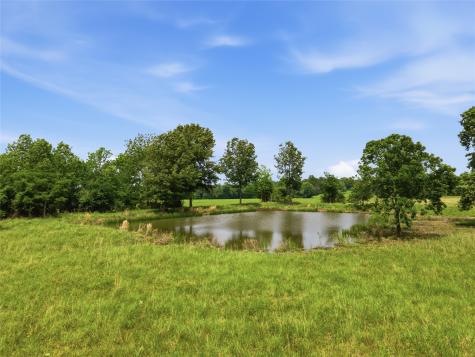 000 Cr 3341 Sulphur Springs TX 75482