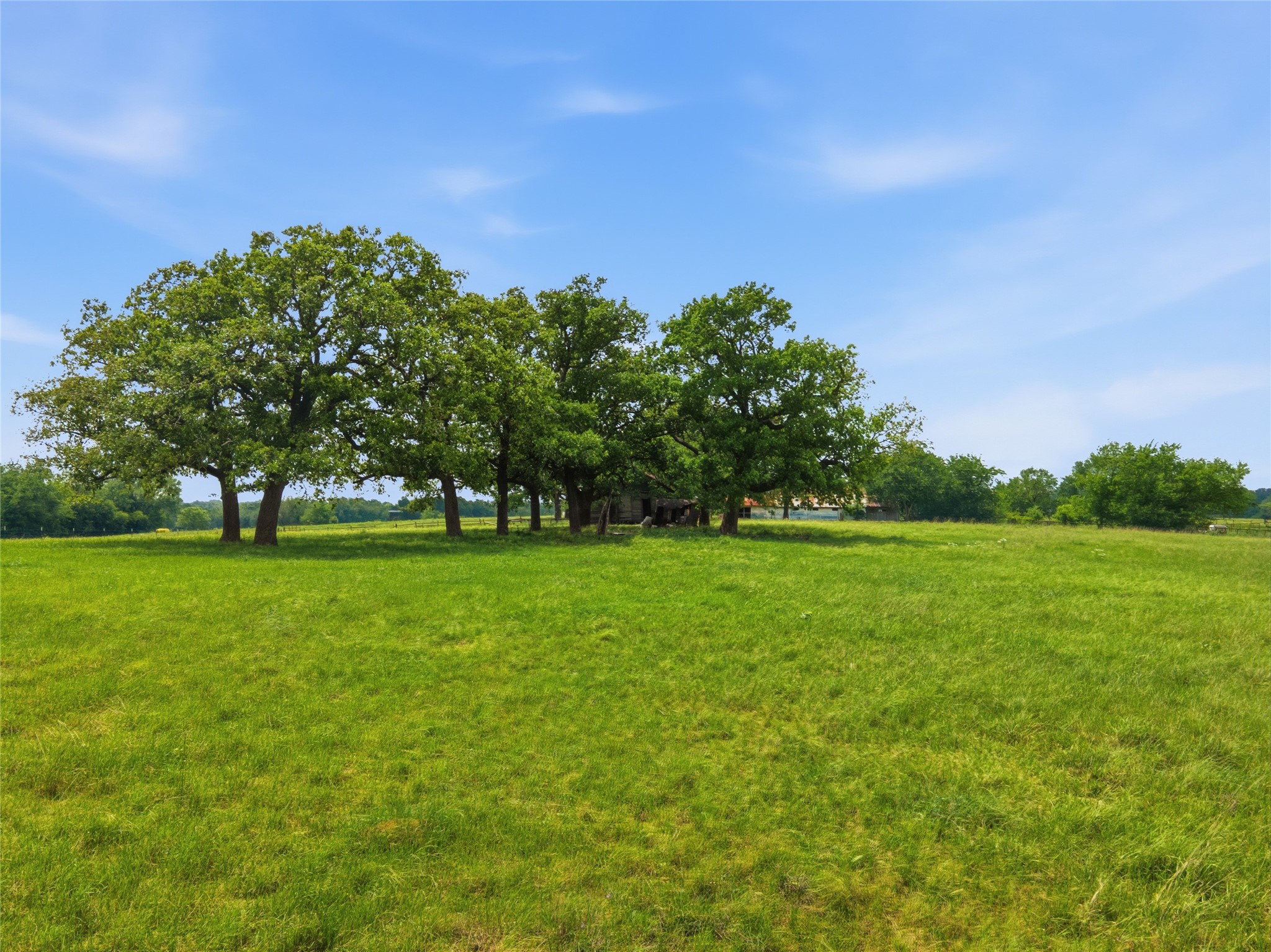 000 Cr 3341 Sulphur Springs TX 75482