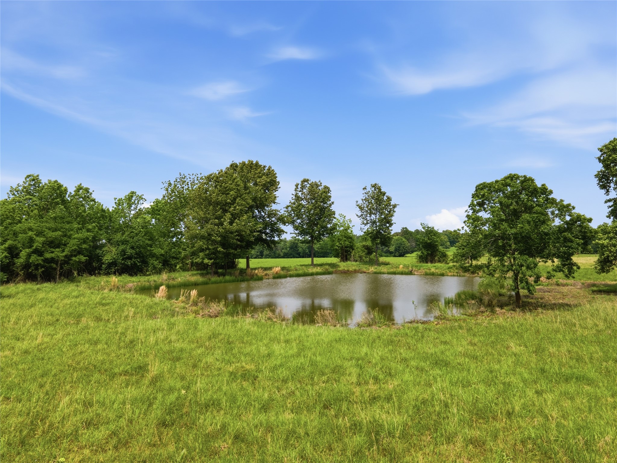 000 Cr 3341 Sulphur Springs TX 75482